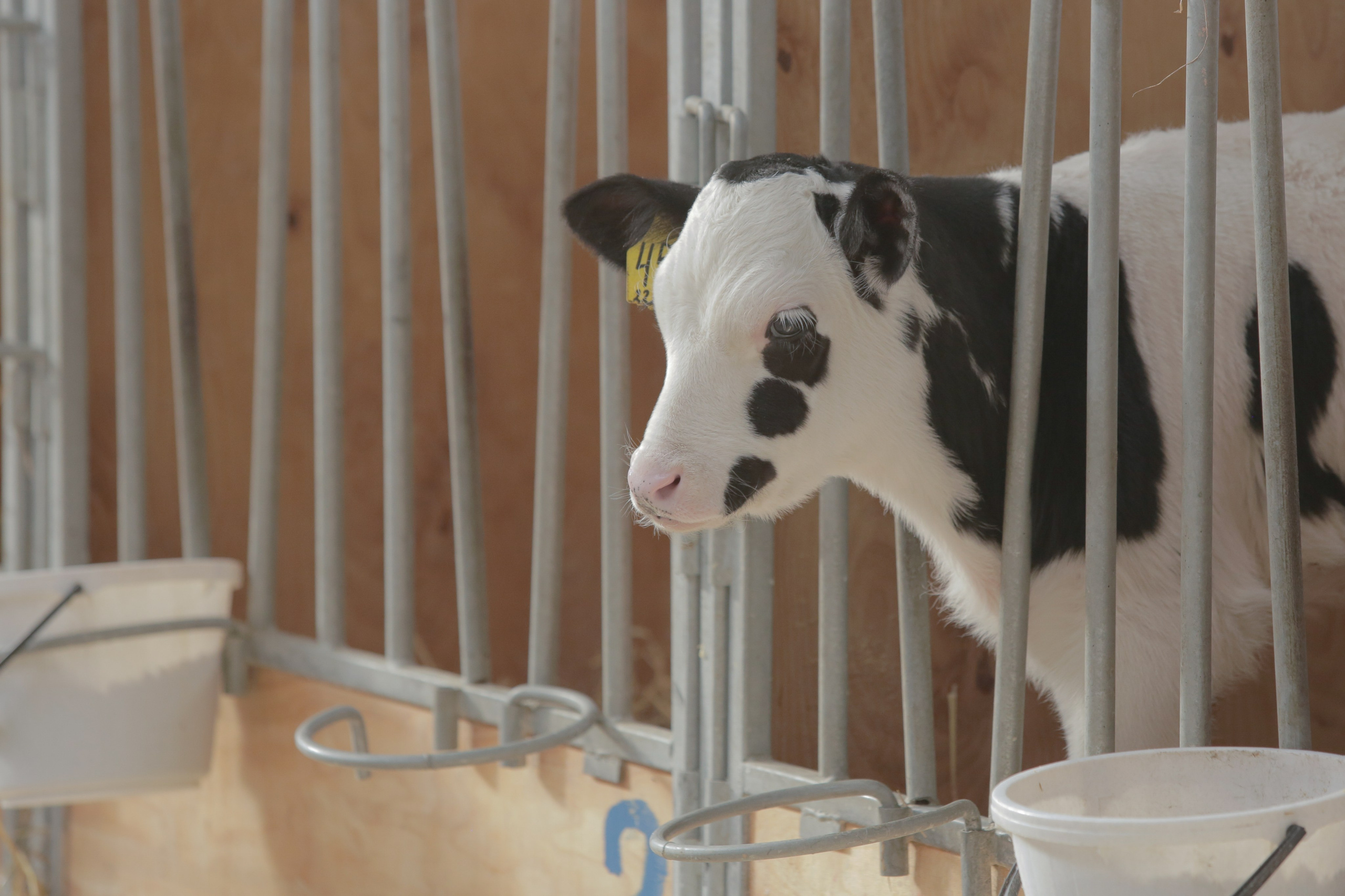 Промышленная фотография. Artur Photography