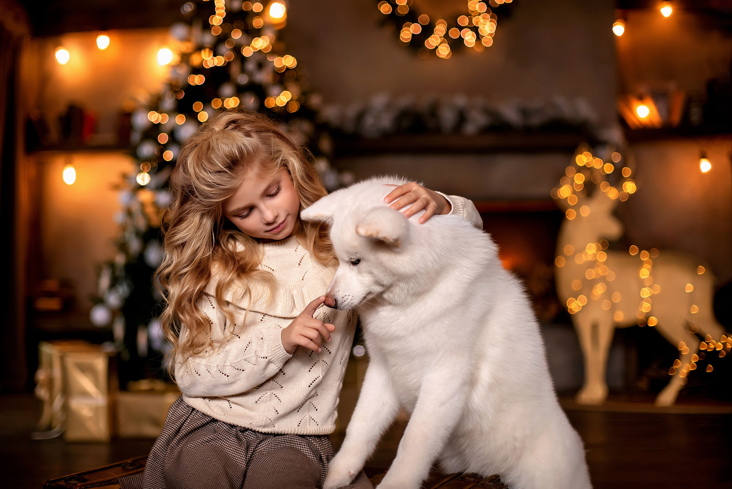 Новогодние и зимние фотосессии. Свадебный и семейный фотограф в Туле и Москве Полукарова Юлия
