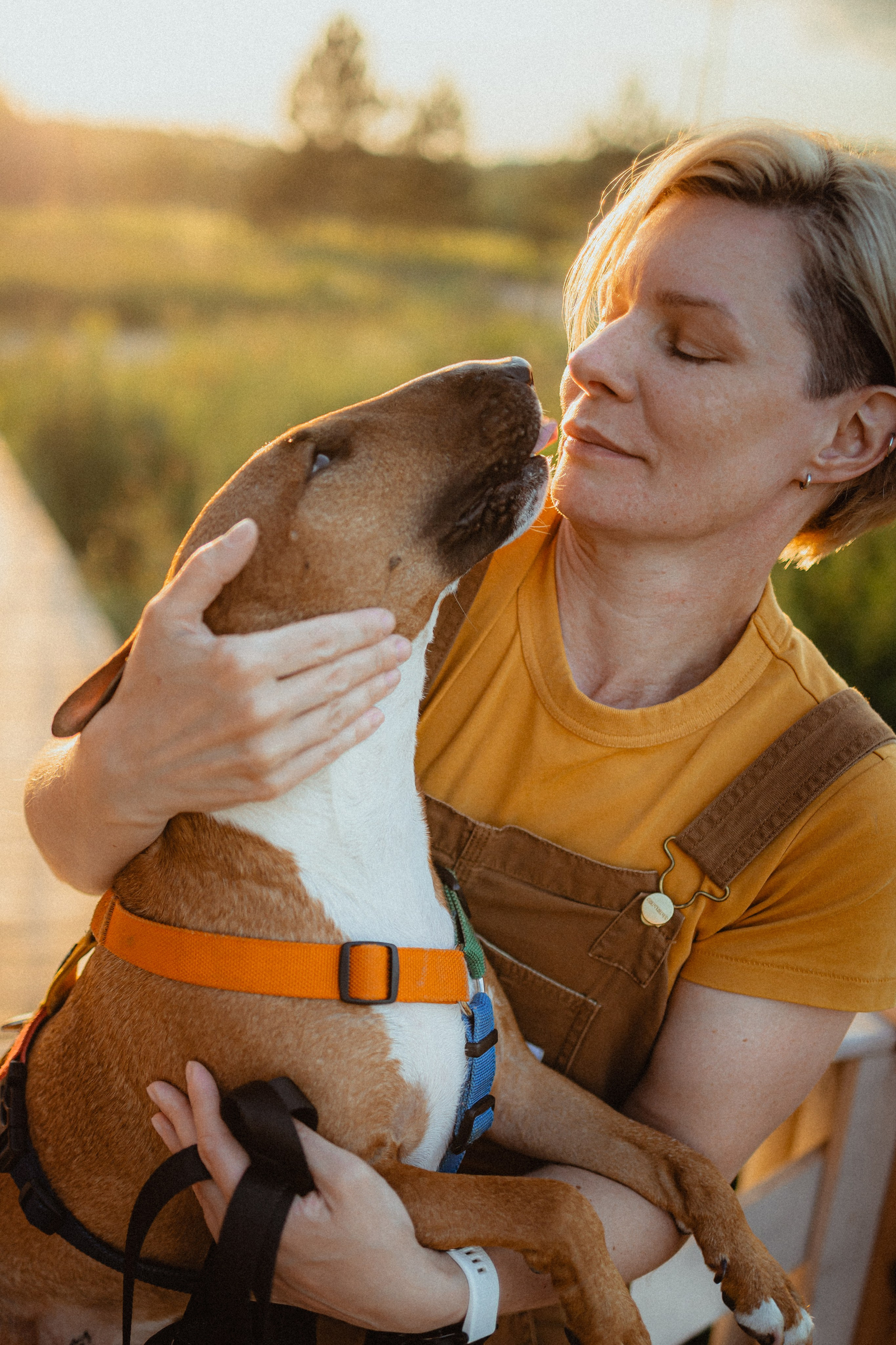 Выездной дог-тренинг от школы «Шерсть имею»