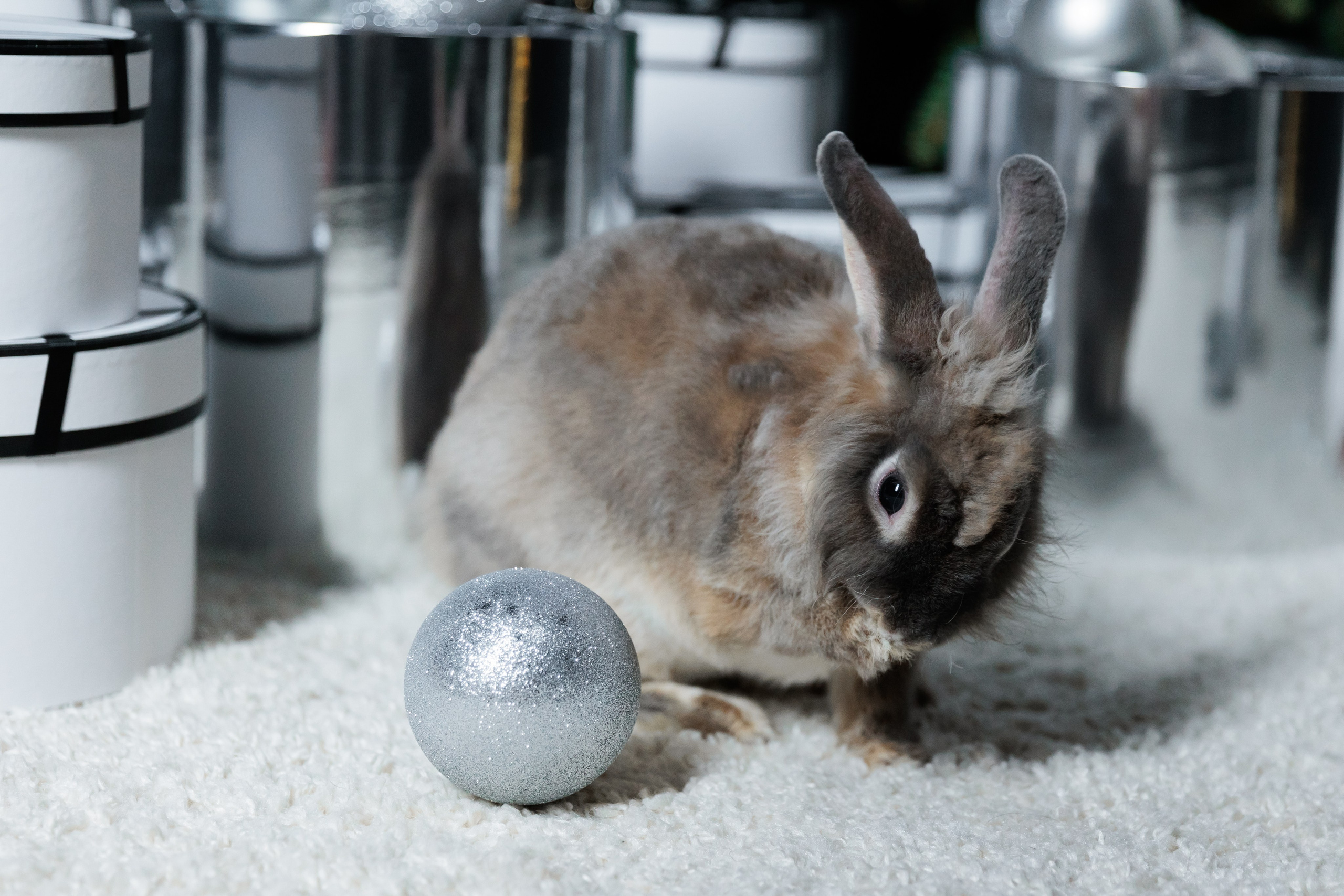 РОЖДЕСТВО. Фотограф семейных, детских, репортажных съёмок г. Уссурийск-Владивосток