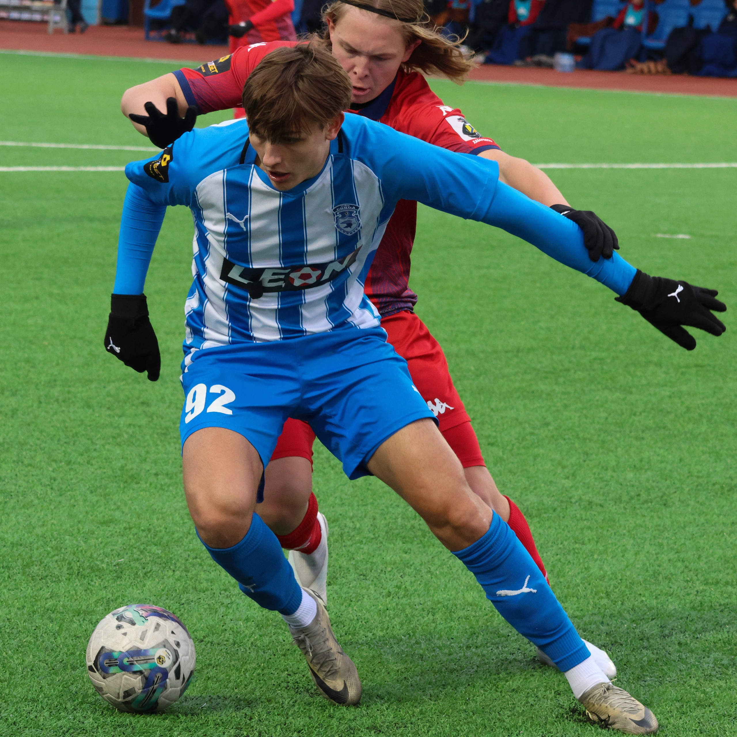 Сокол. ФНЛ. Фотограф Дмитрий Алексеев