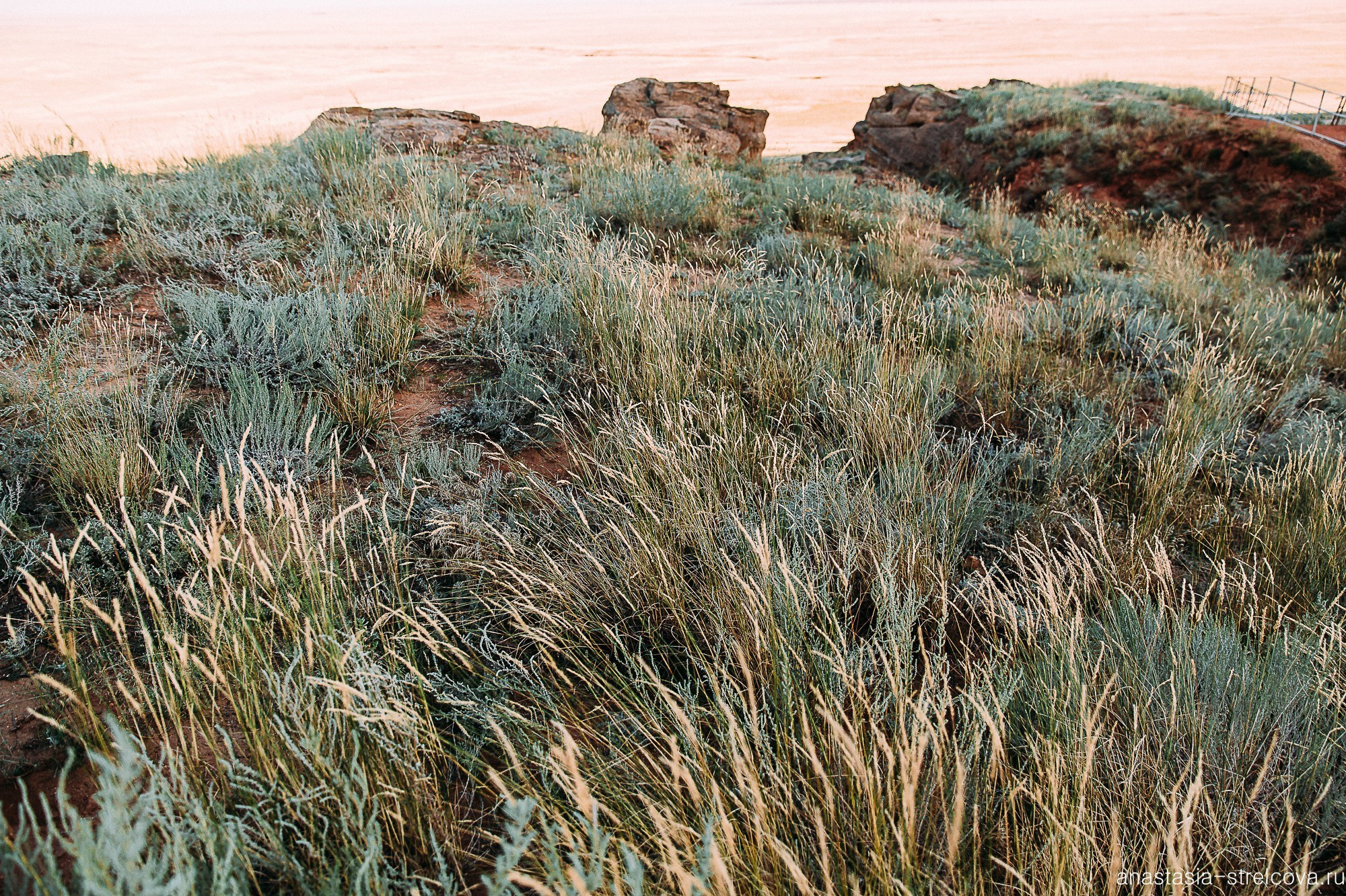 Главная - Саша и Вилли свадебный день  - Свадебный фотограф Анастасия Стрельцова