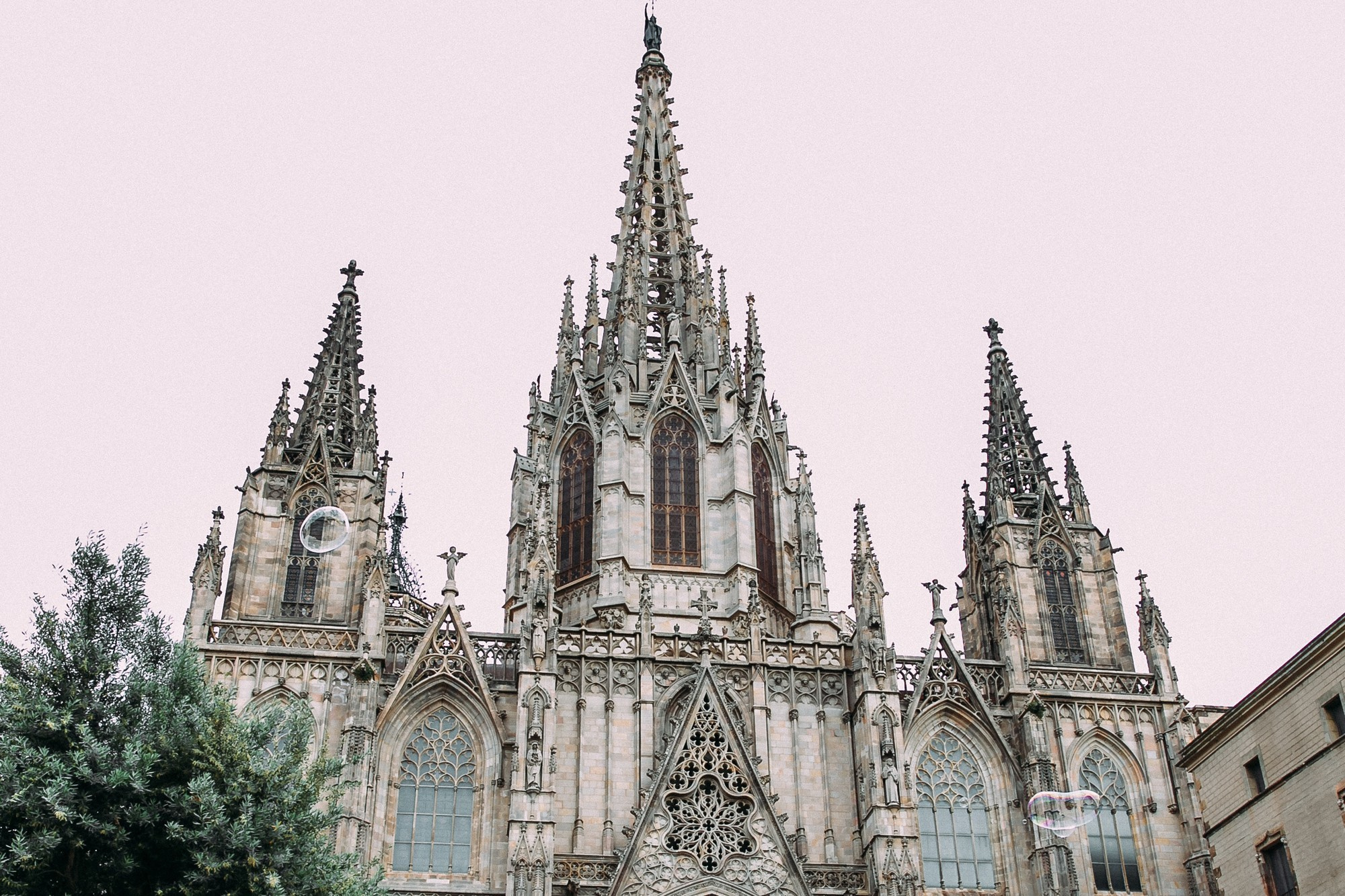 Главная - Анна и Роберто Барселона, Испания 