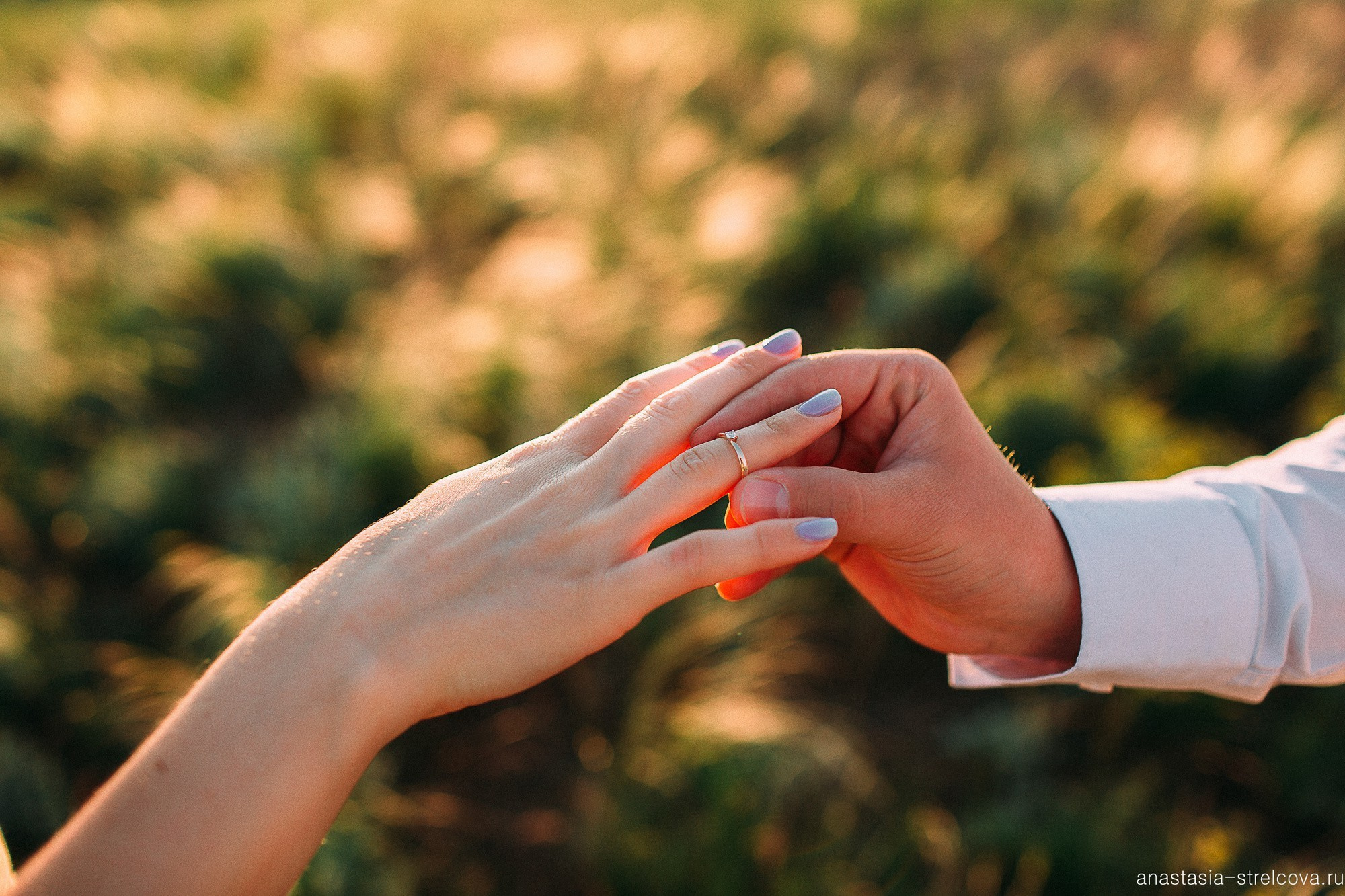 Главная - Юлия и Сергей прогулка для двоих 