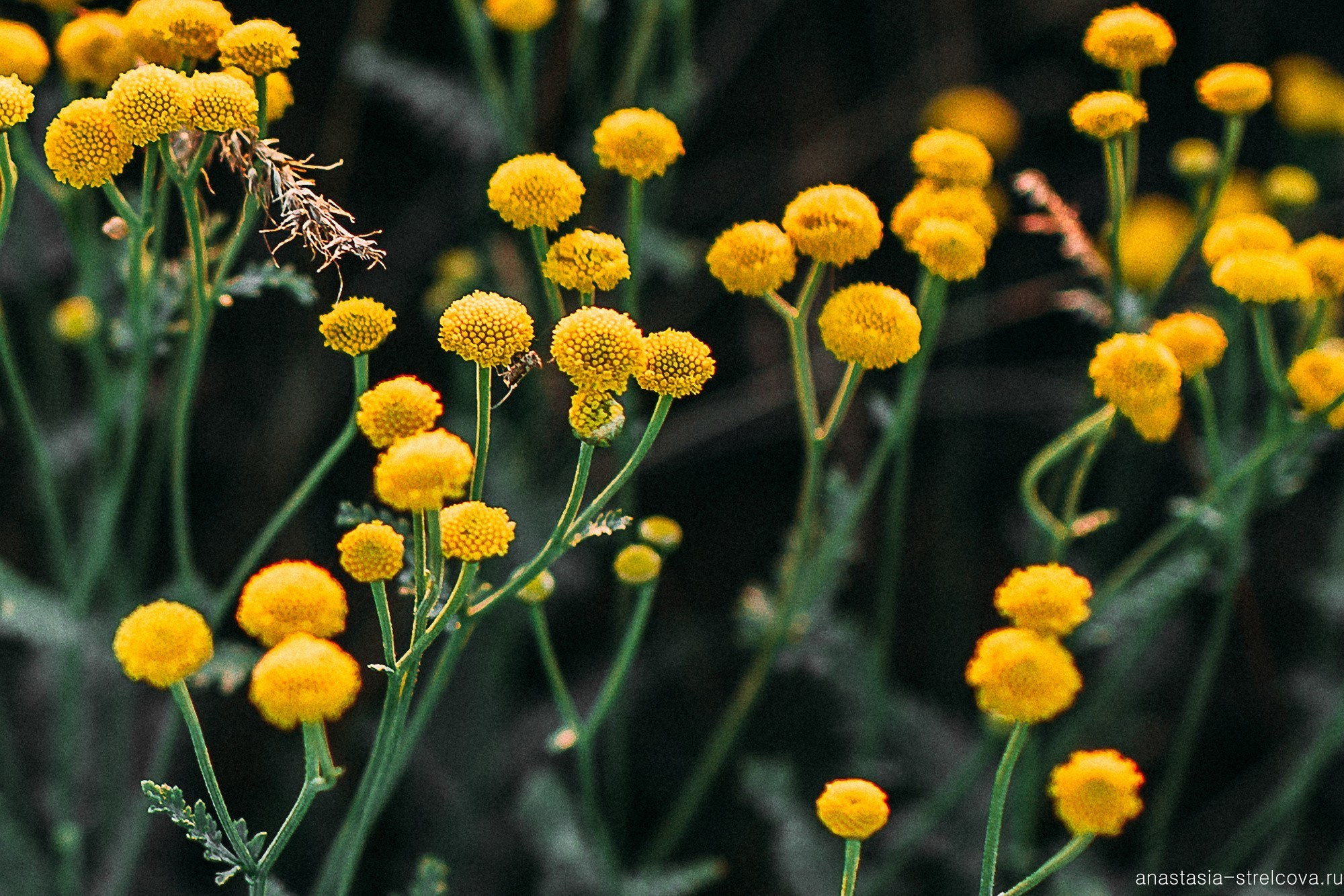 Главная - Юлия и Сергей прогулка для двоих 