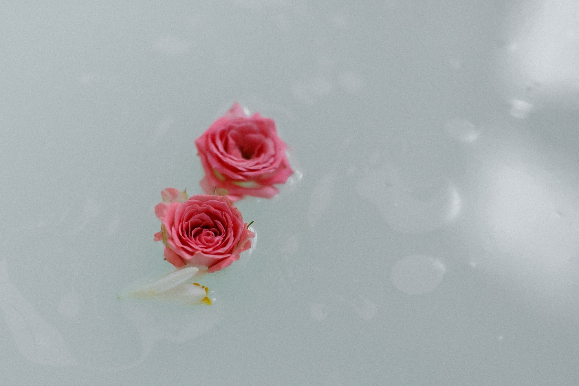 Главная - Анна