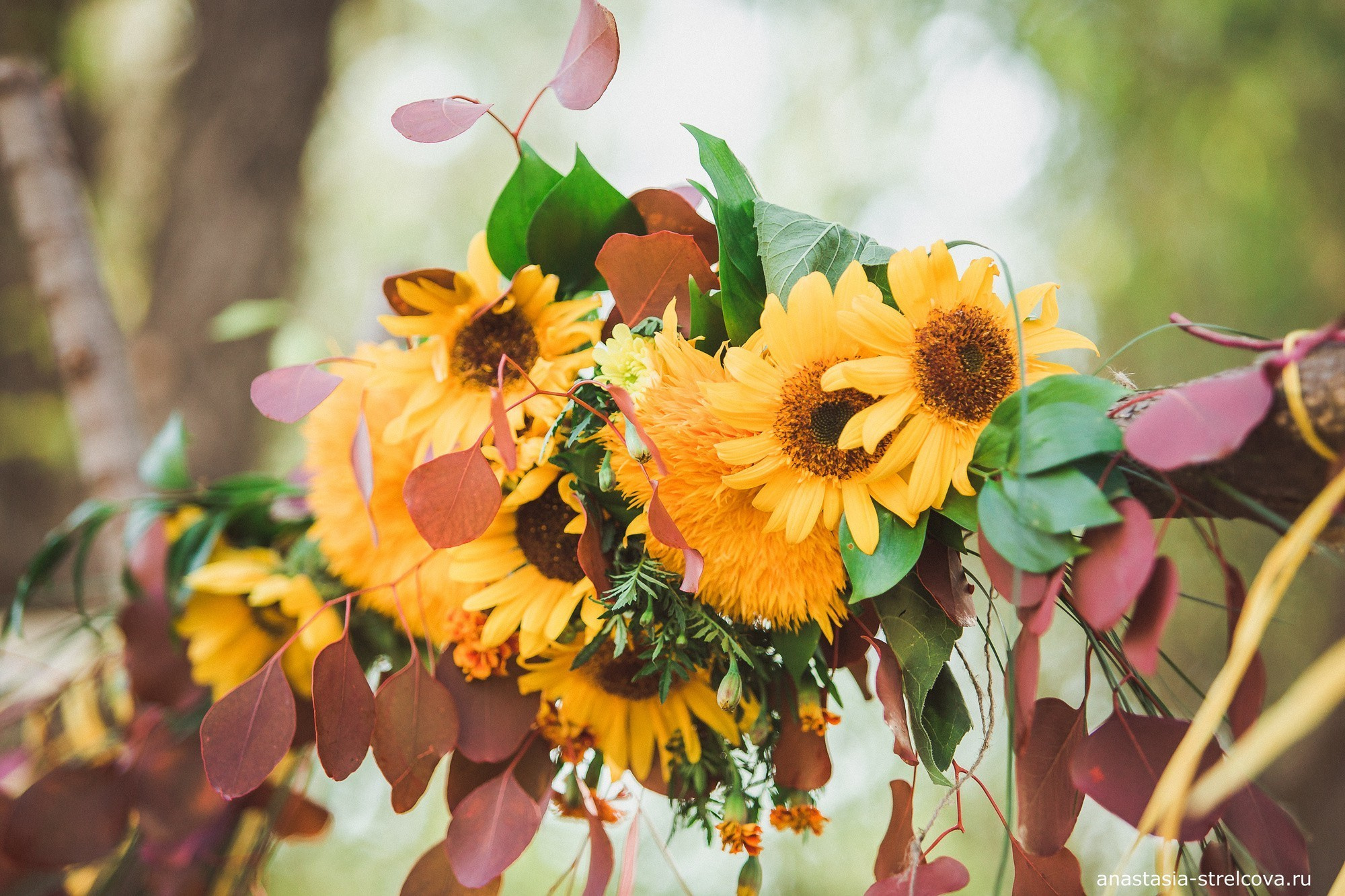 Главная - Юлия и Михаил прогулка для двоих  - Фотограф Анастасия Стрельцова (Ахтубинск-Волгоград)