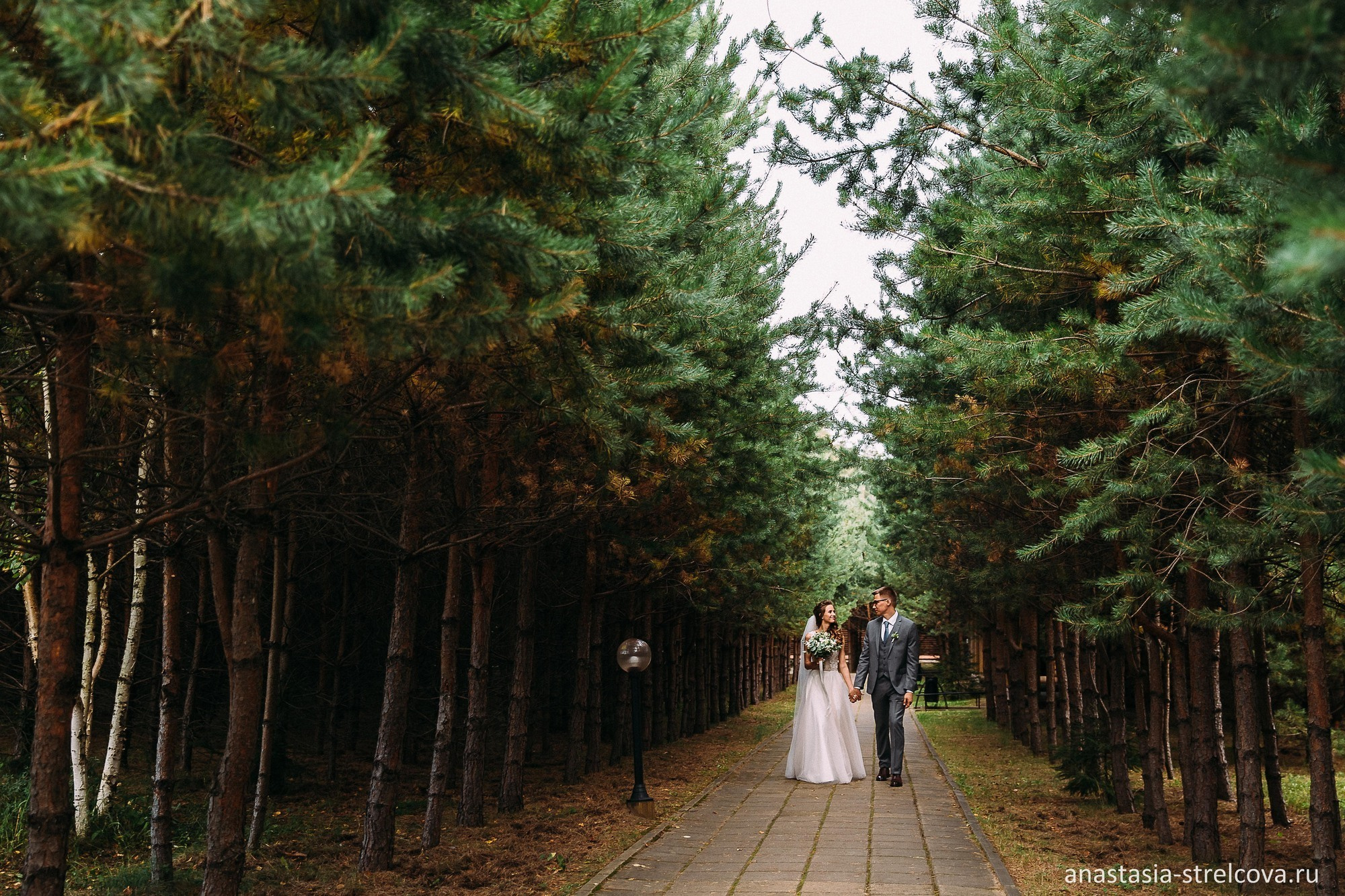 Главная - Анна и Дмитрий свадебный день 