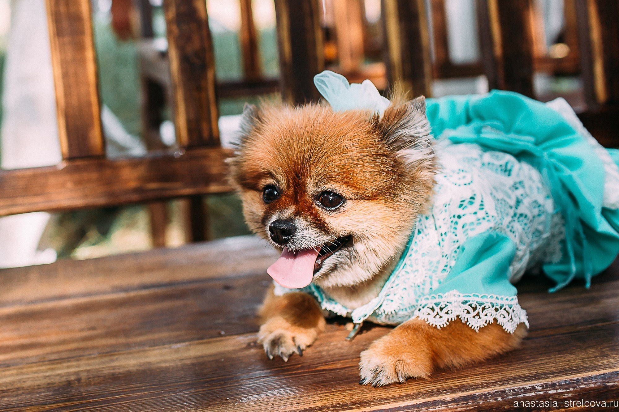 Главная - Валерия и Сергей свадебный день  - Свадебный фотограф Москва Балашиха Анастасия Стрельцова 