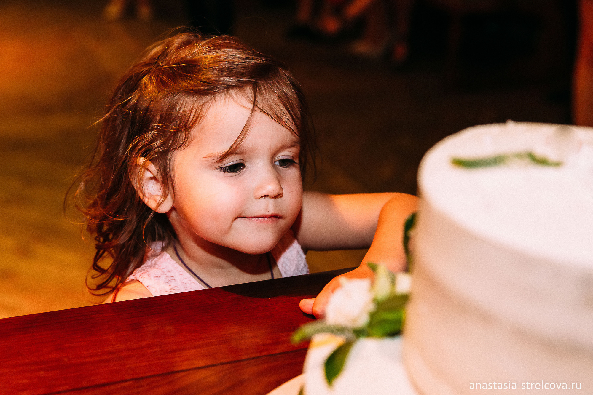 Главная - Анна и Дмитрий свадебный день 