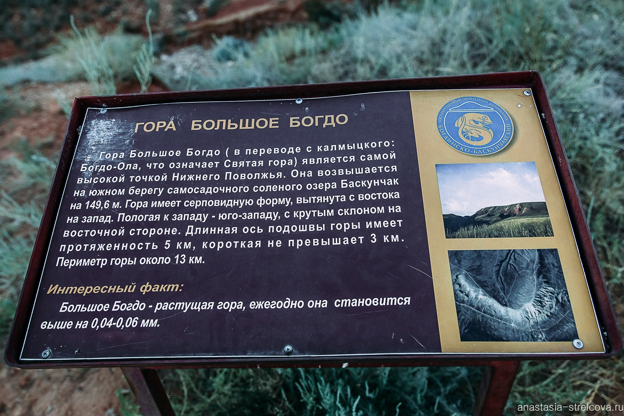 Главная - Саша и Вилли свадебный день  - Свадебный фотограф Анастасия Стрельцова