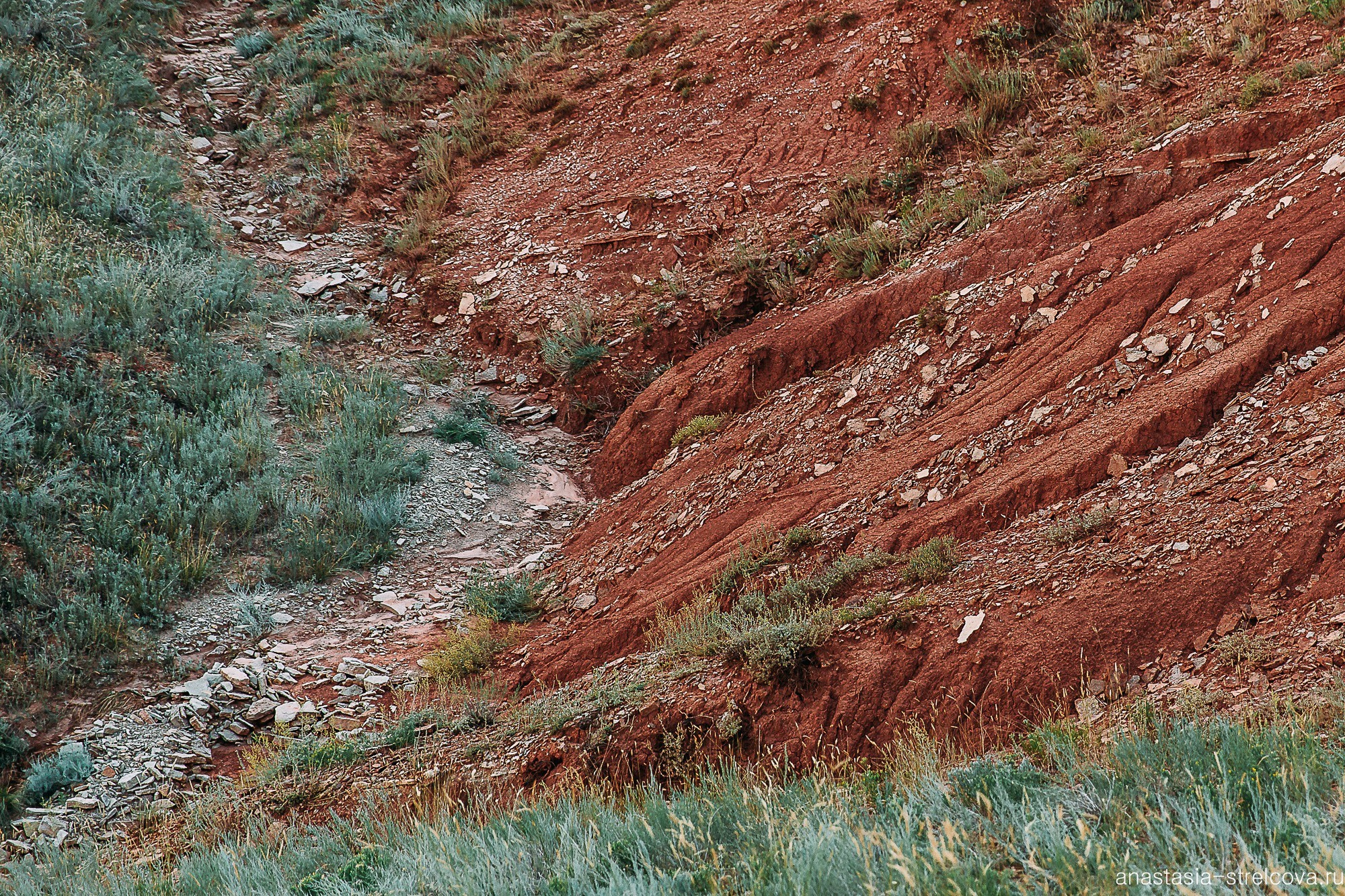 Главная - Саша и Вилли свадебный день  - Свадебный фотограф Анастасия Стрельцова