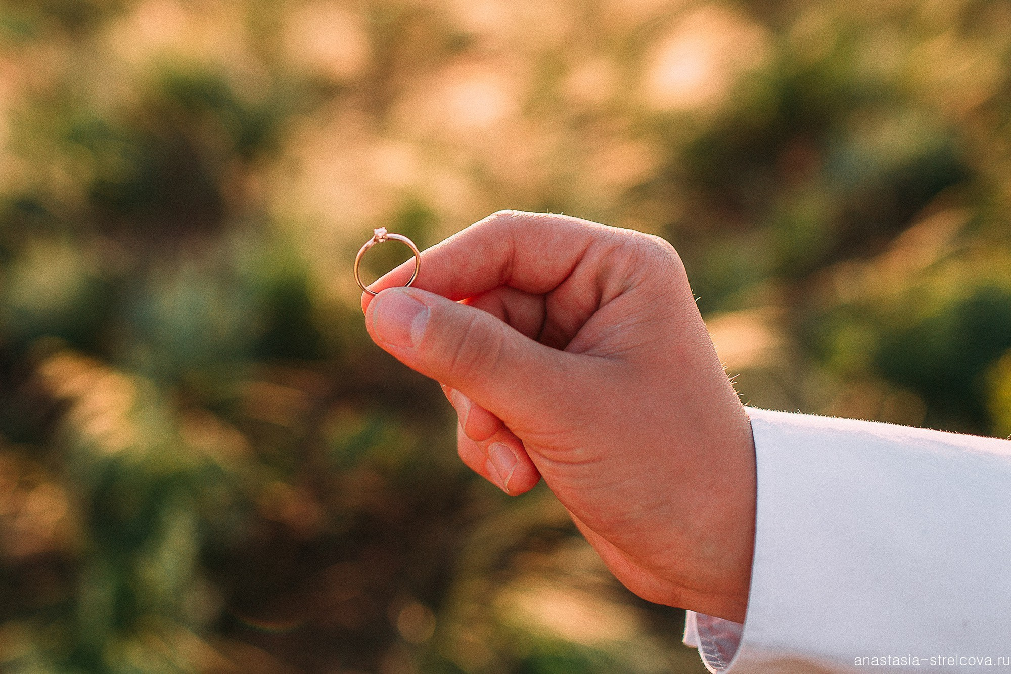 Главная - Юлия и Сергей прогулка для двоих 