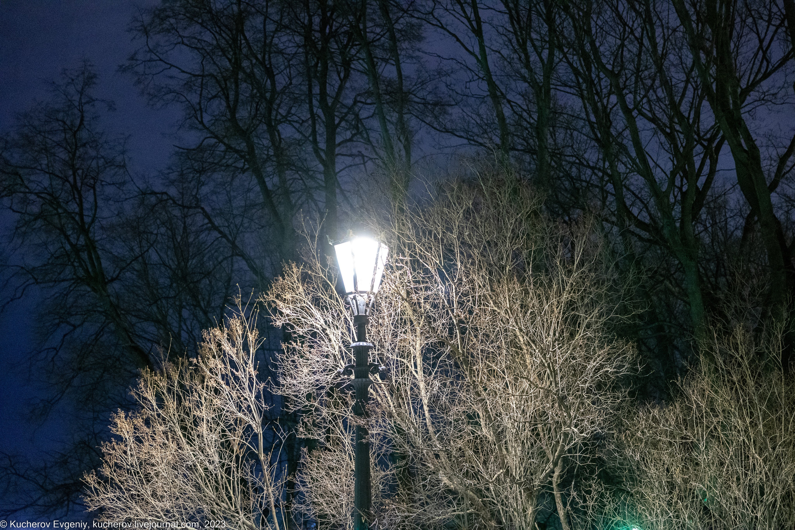 Питер. Прогулка. Кучеров Евгений. Фотограф