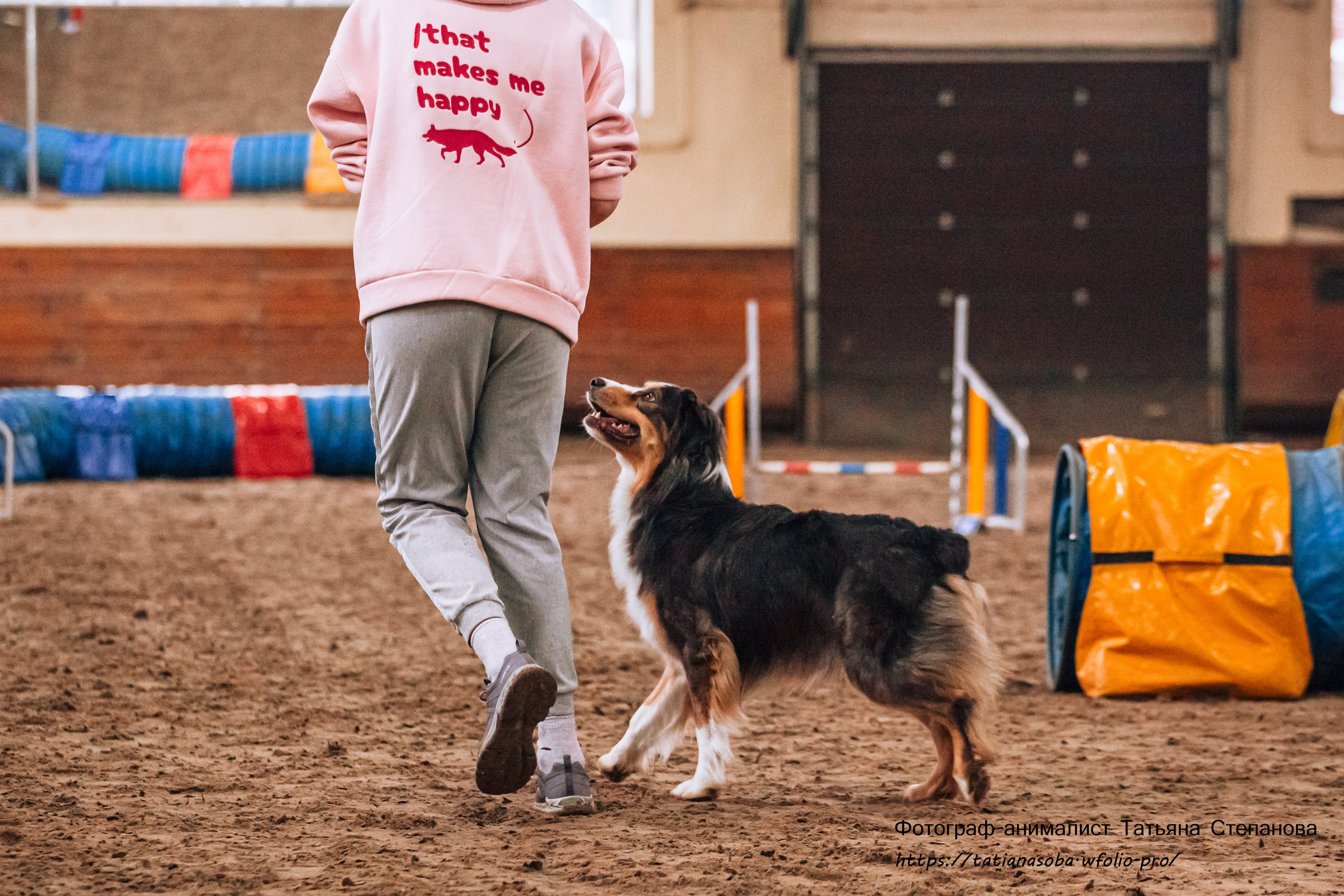 Соревнования по Аджилити 25.02.2024. Фотограф-анималист Татьяна Степанова