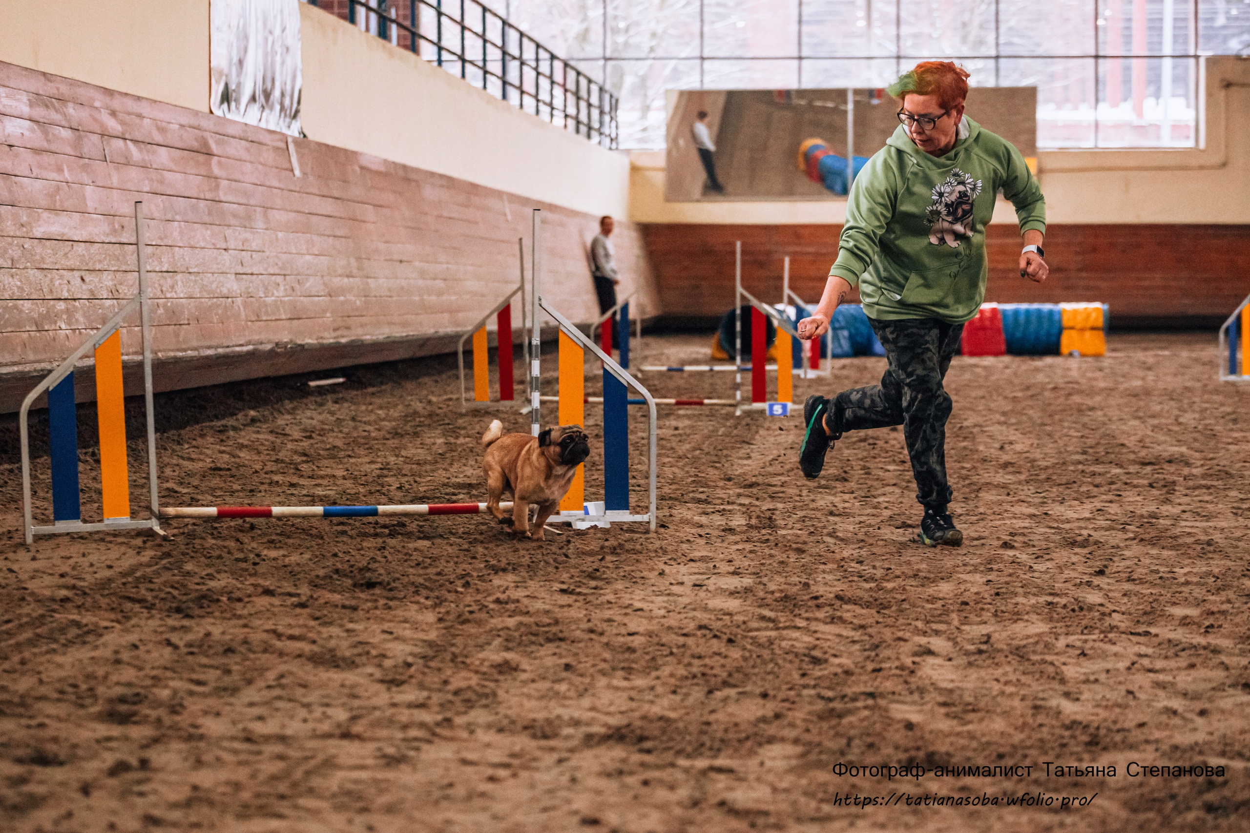 Соревнования по Аджилити 25.02.2024. Фотограф-анималист Татьяна Степанова