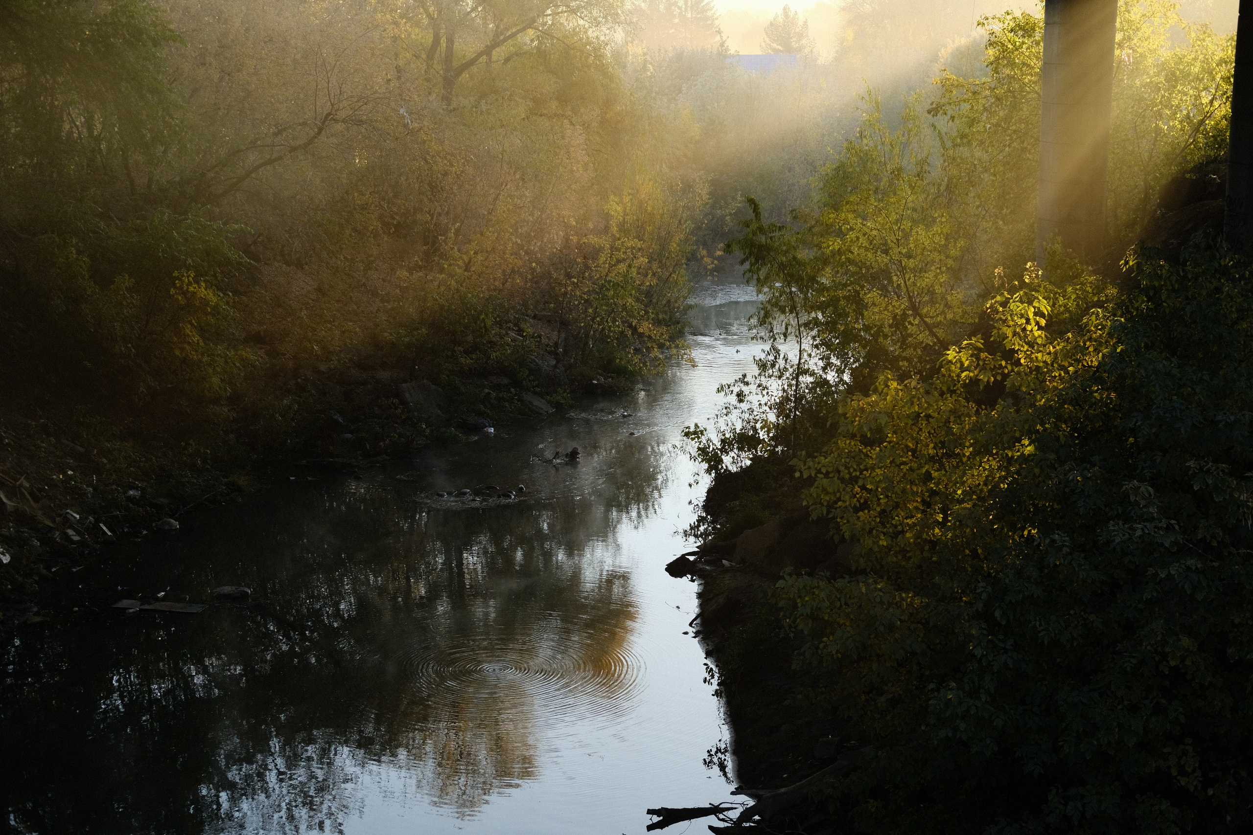 Наблюдения. Семейный фотограф в Новосибирске Артём Кузнецов