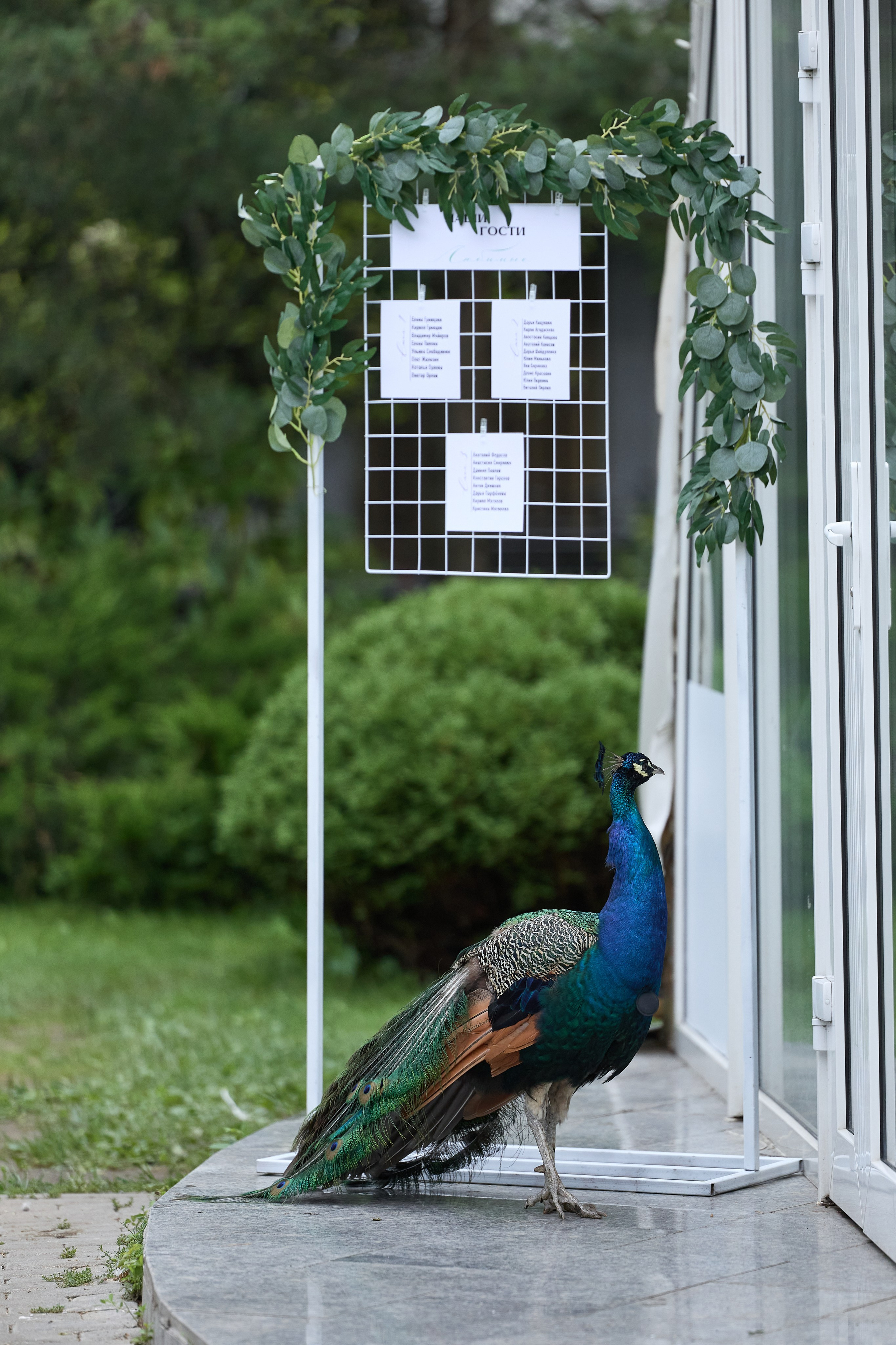 Андрей и Елена. Kharchenkotatianaweddingphoto