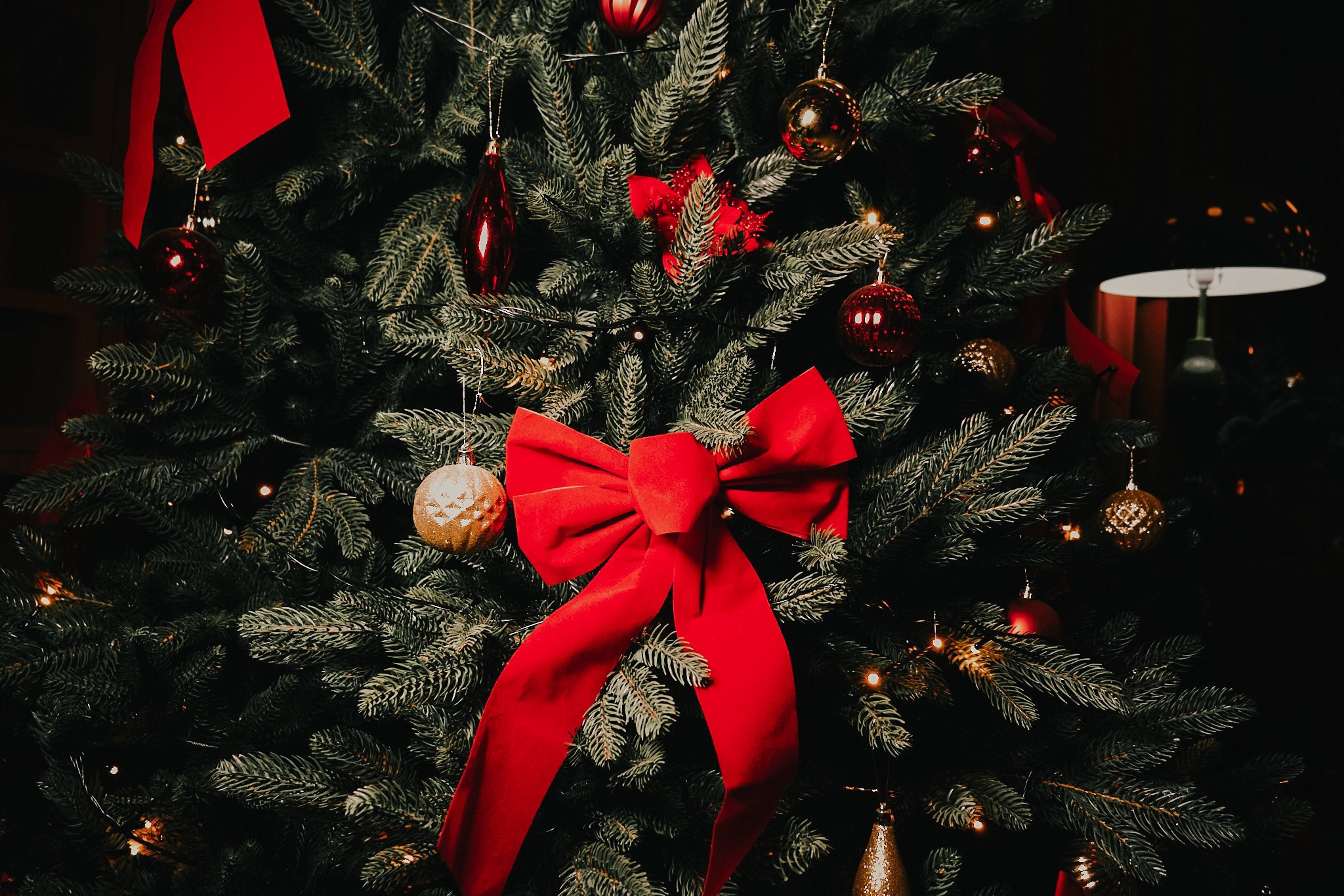 Корпоратив Basic Decor. Фотограф Аннё| Москва