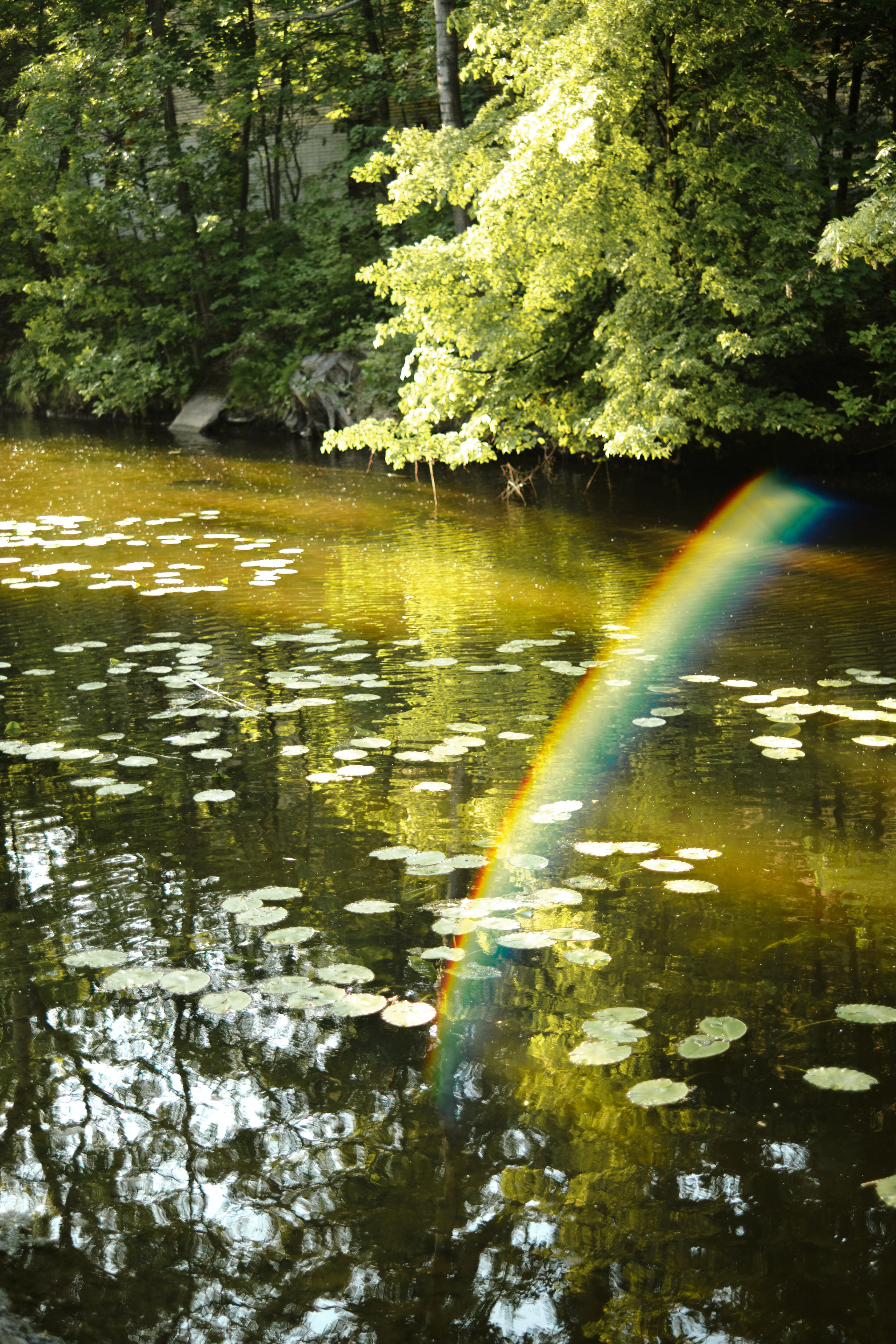 Саша. Фотограф в Санкт-Петербурге Мария Комолитдинова