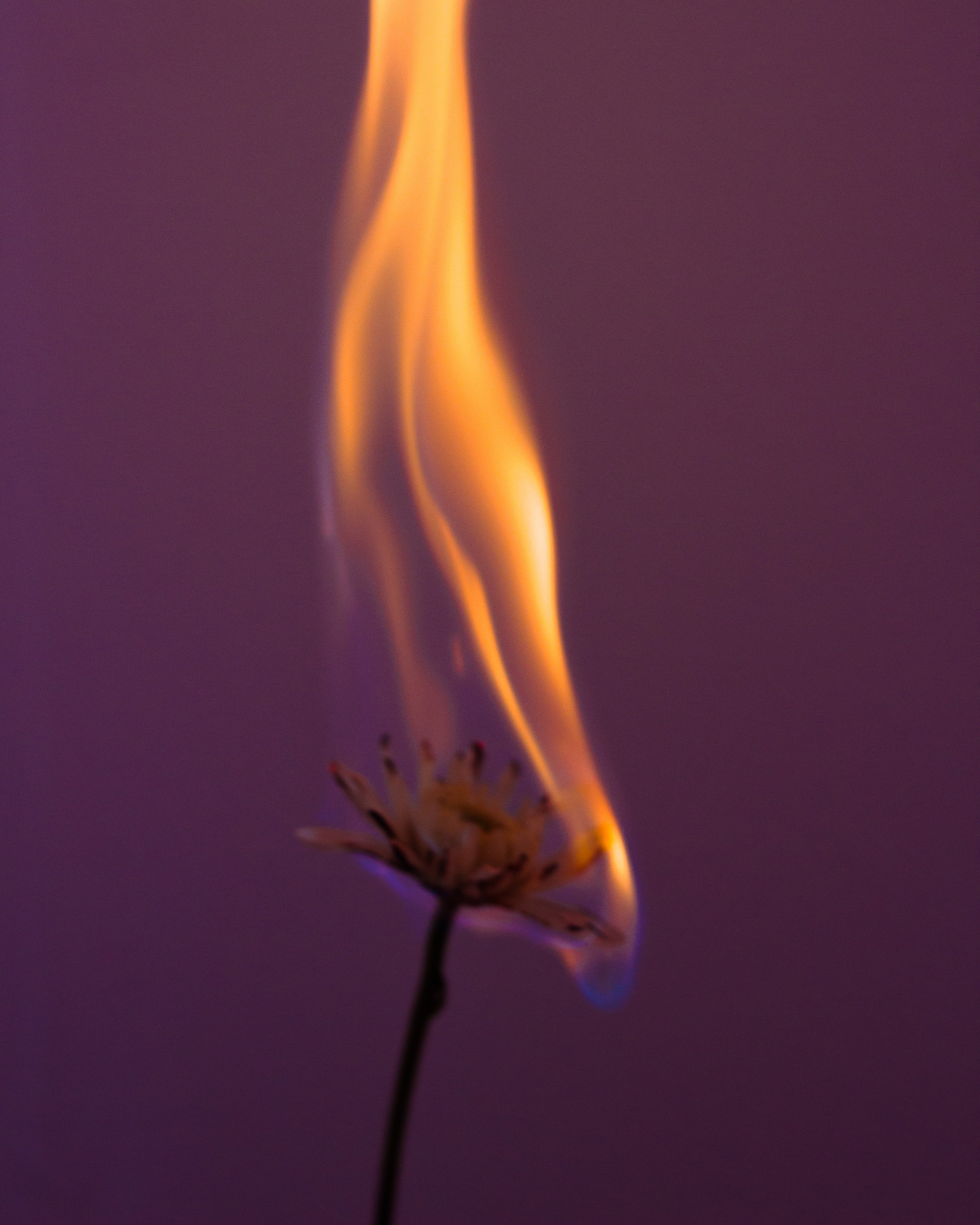 ART. Фотограф Анна Апрельская Москва| Moscow Anna Aprelskaya Photographer