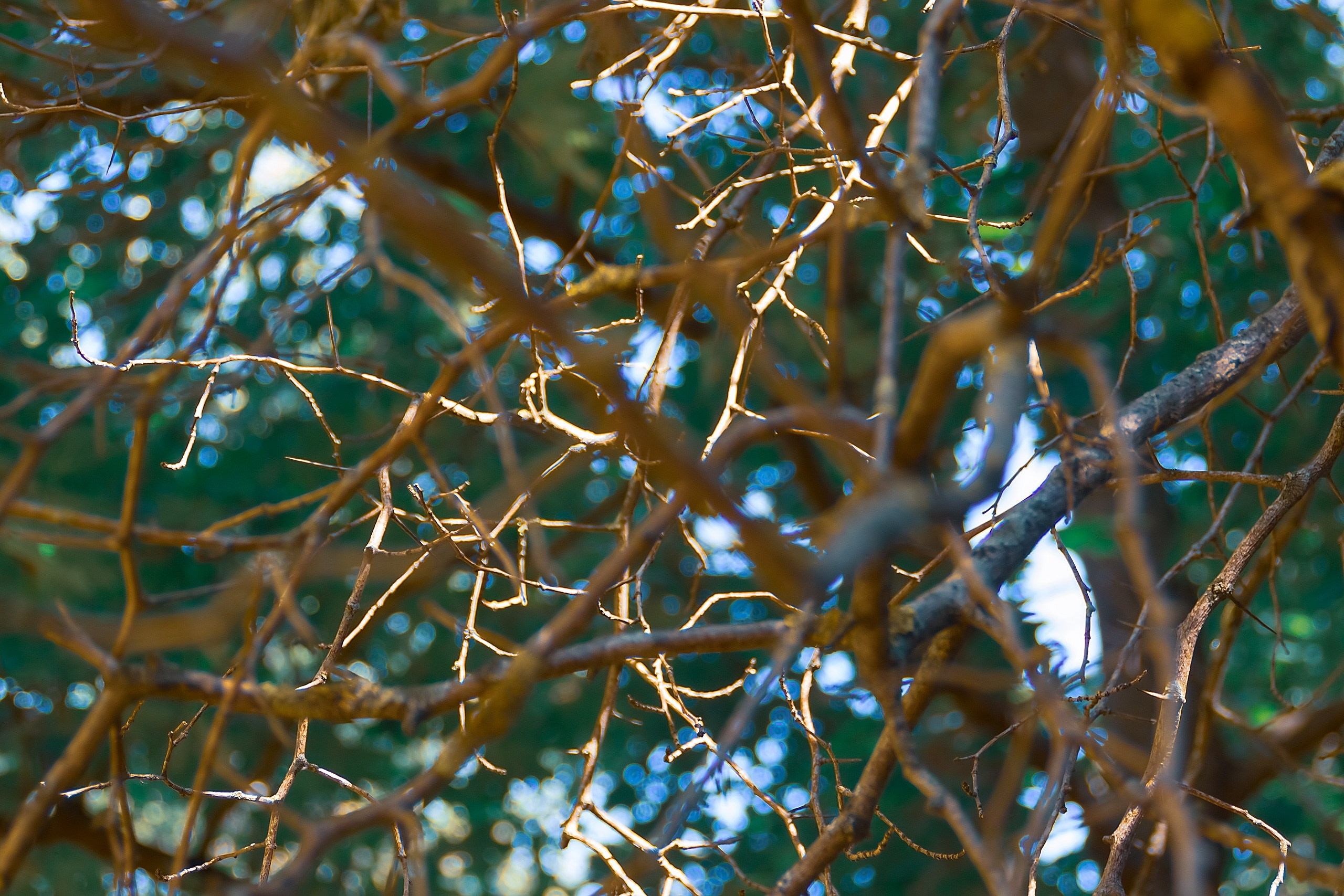 Невозможное возможно!. Аmat Victoria Сuram