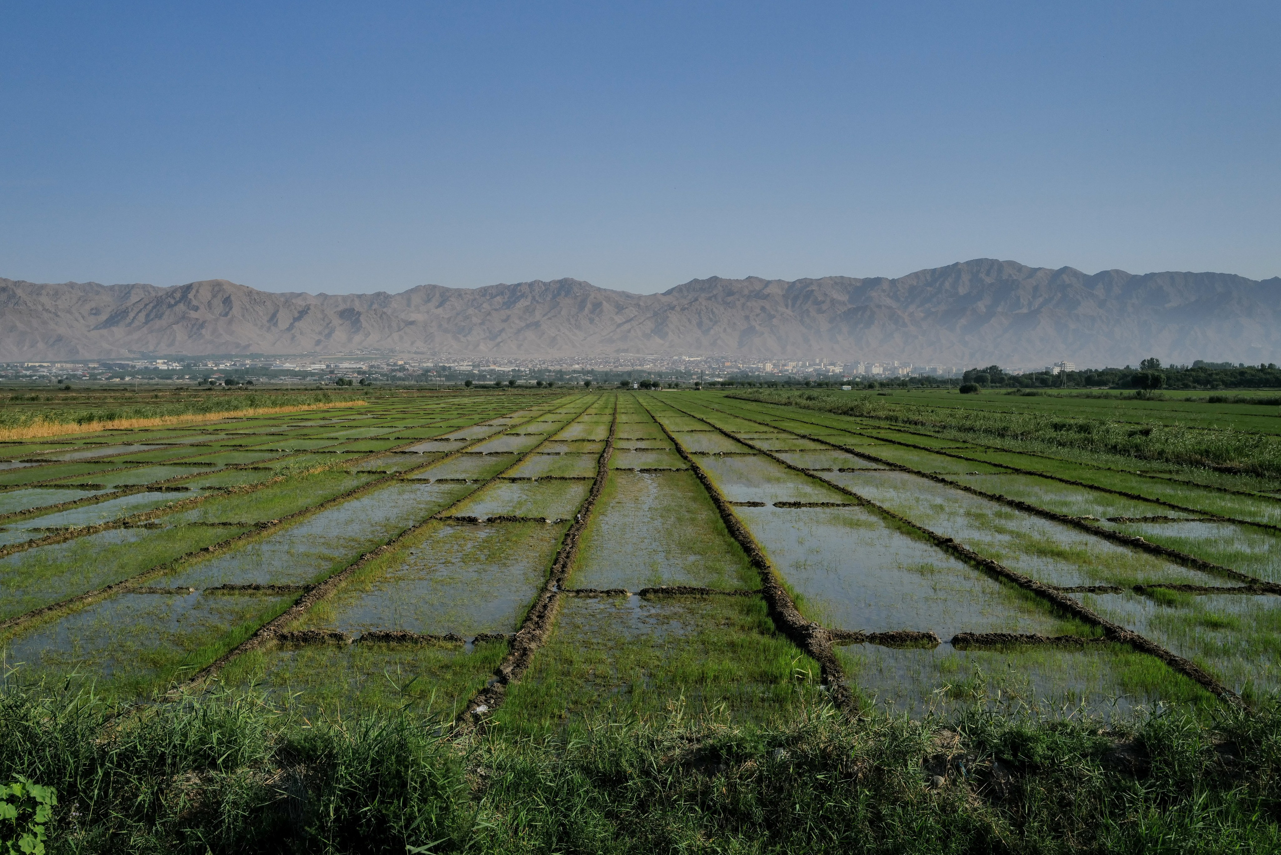Syrdarya: water and people. Petr Trotsenko documentary photographer