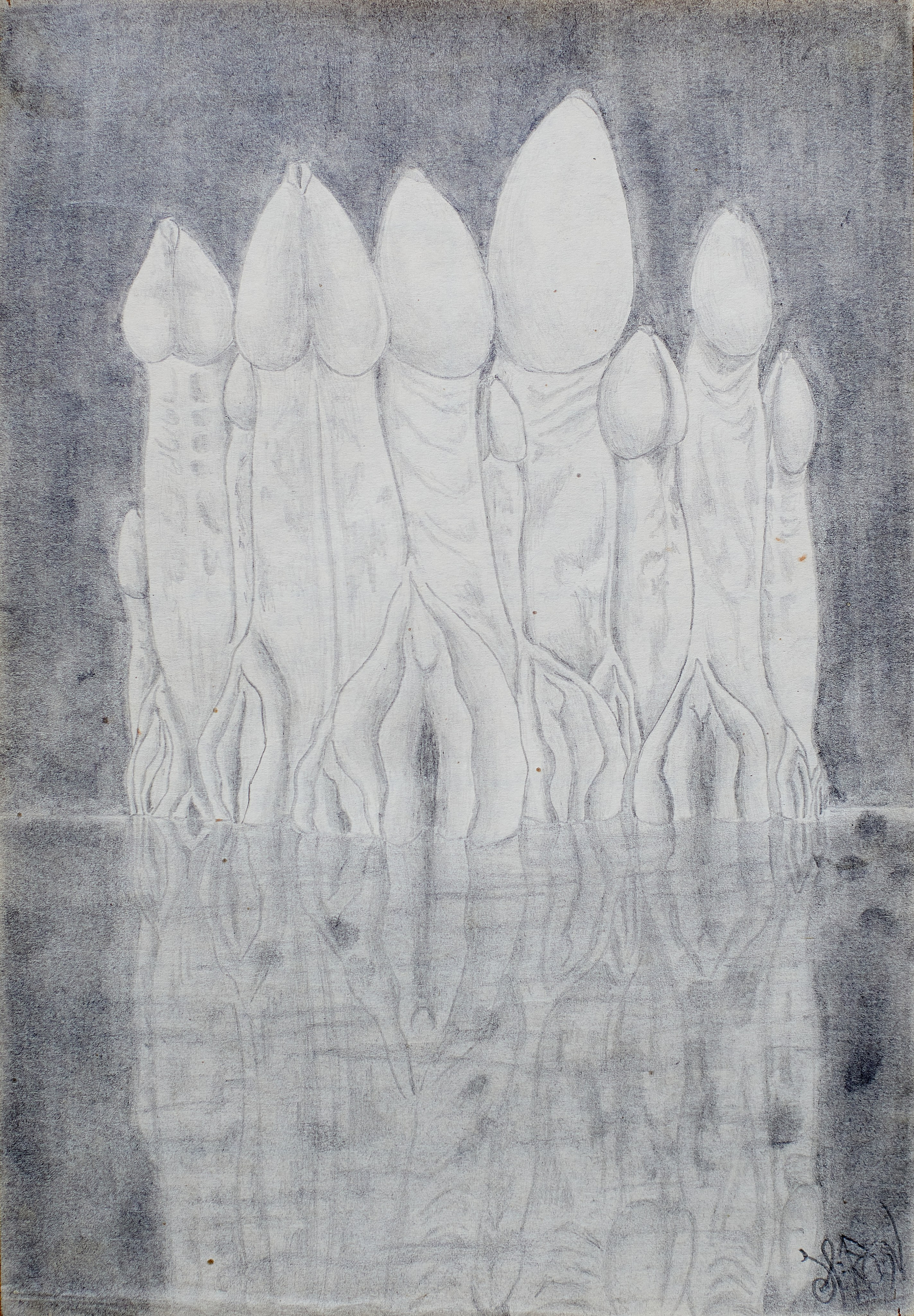 Ручка/Карандаш. Olitron Legacy