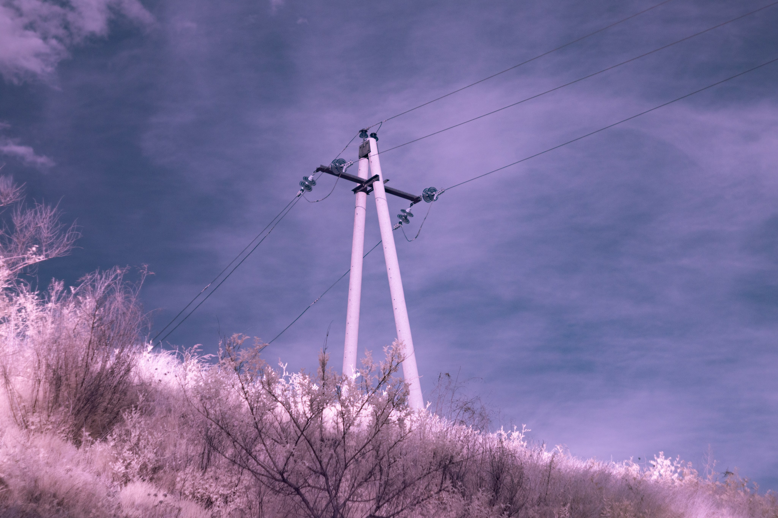 Infrared. AThumbnails