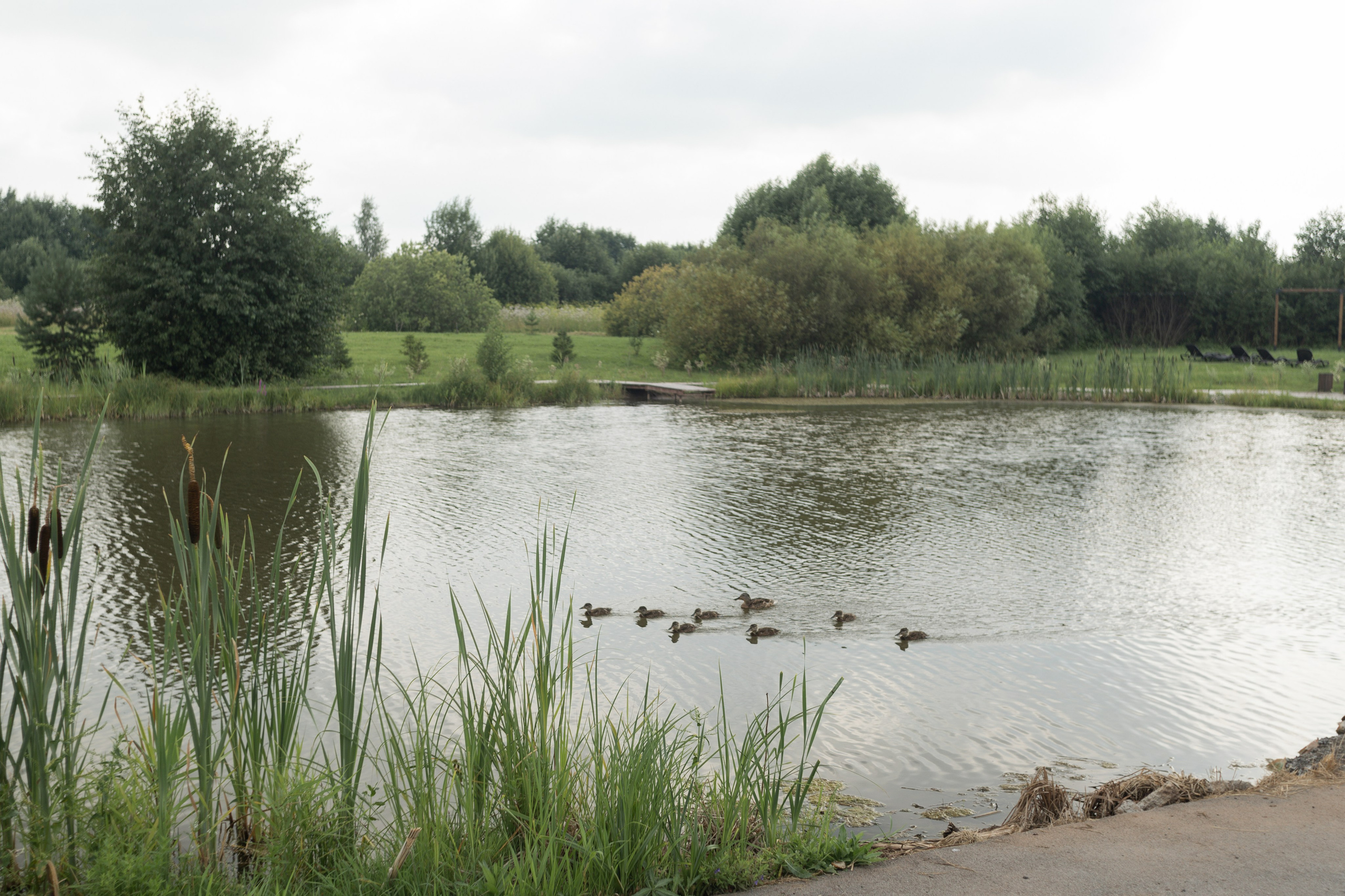 Настя и Данил. Свадебный и семейный фотограф в Перми Дергачева Кристина