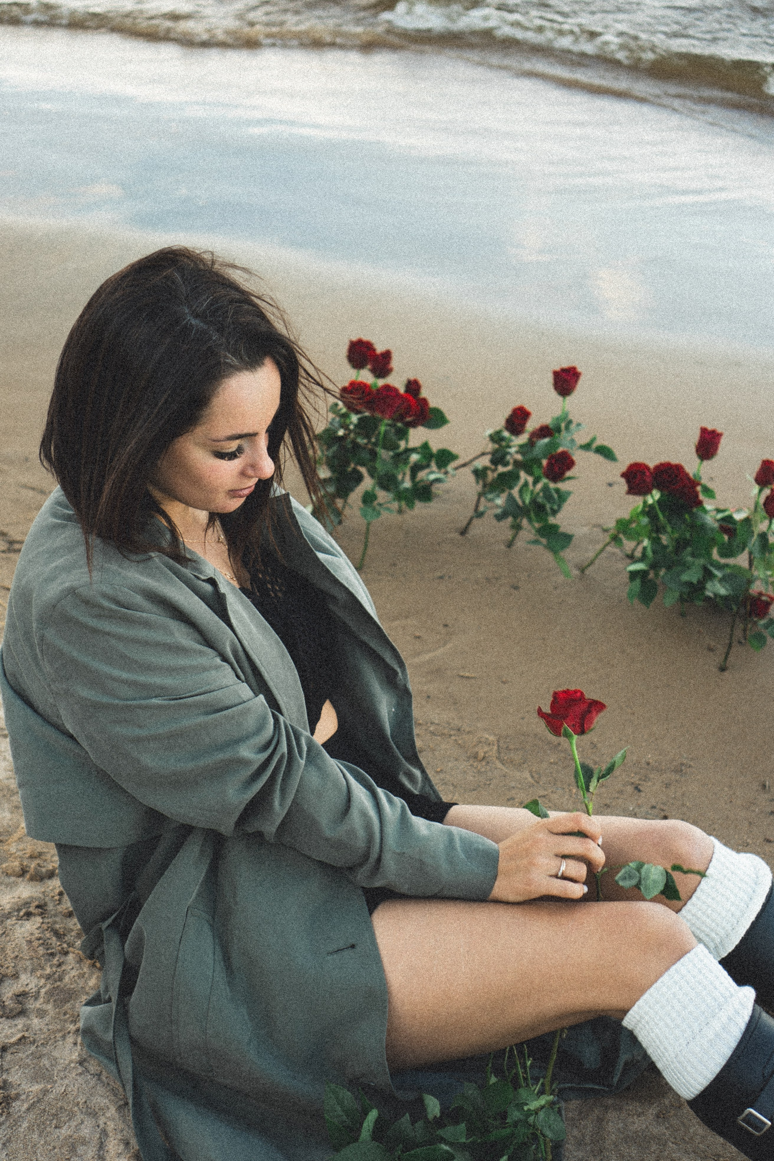 Розы. Профессиональный фотограф, Санкт-Петербург — Виктория Богомолова