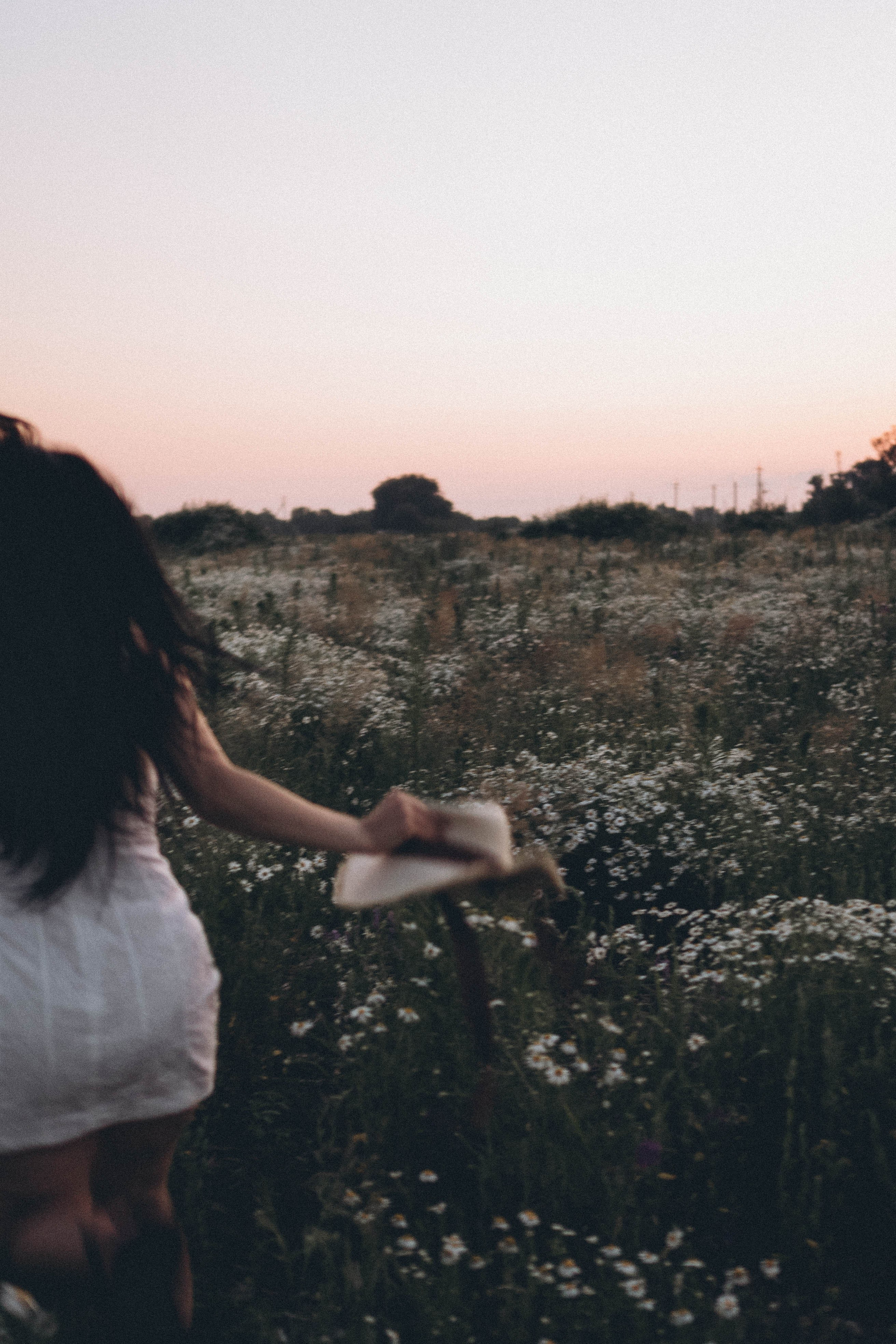 Ромашковое поле. Профессиональный фотограф, Санкт-Петербург — Виктория Богомолова
