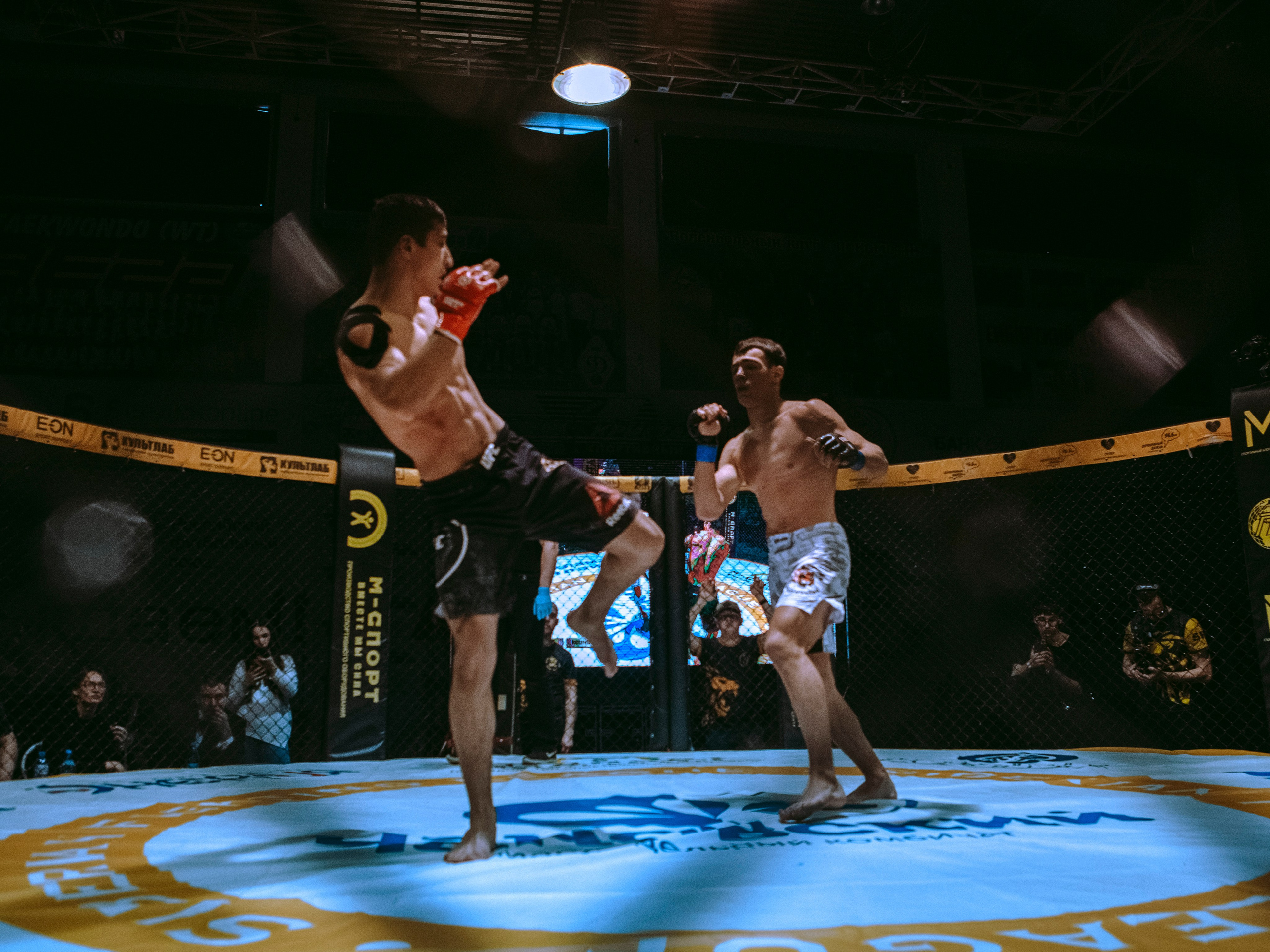 SFL 17 | Siberian Fighting League. Портретный фотограф в Москве Дарья Цезария