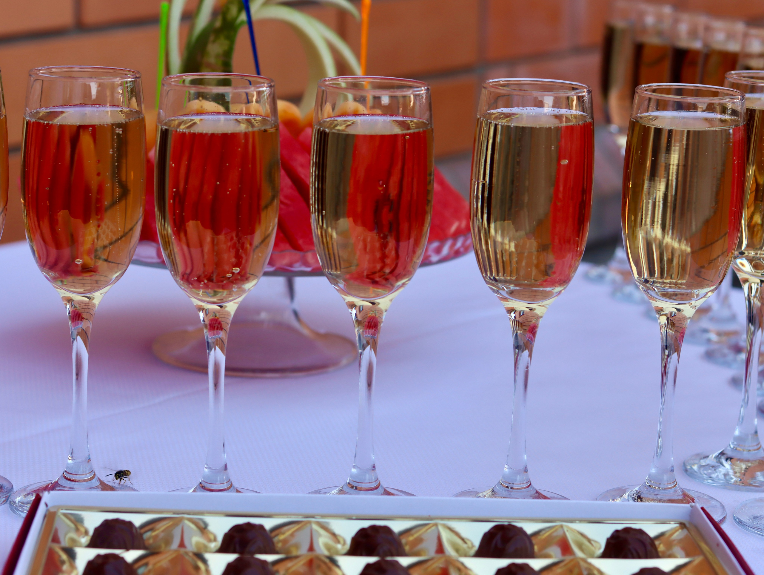 Юбилей. Фотограф в Курске Смирнов Евгений