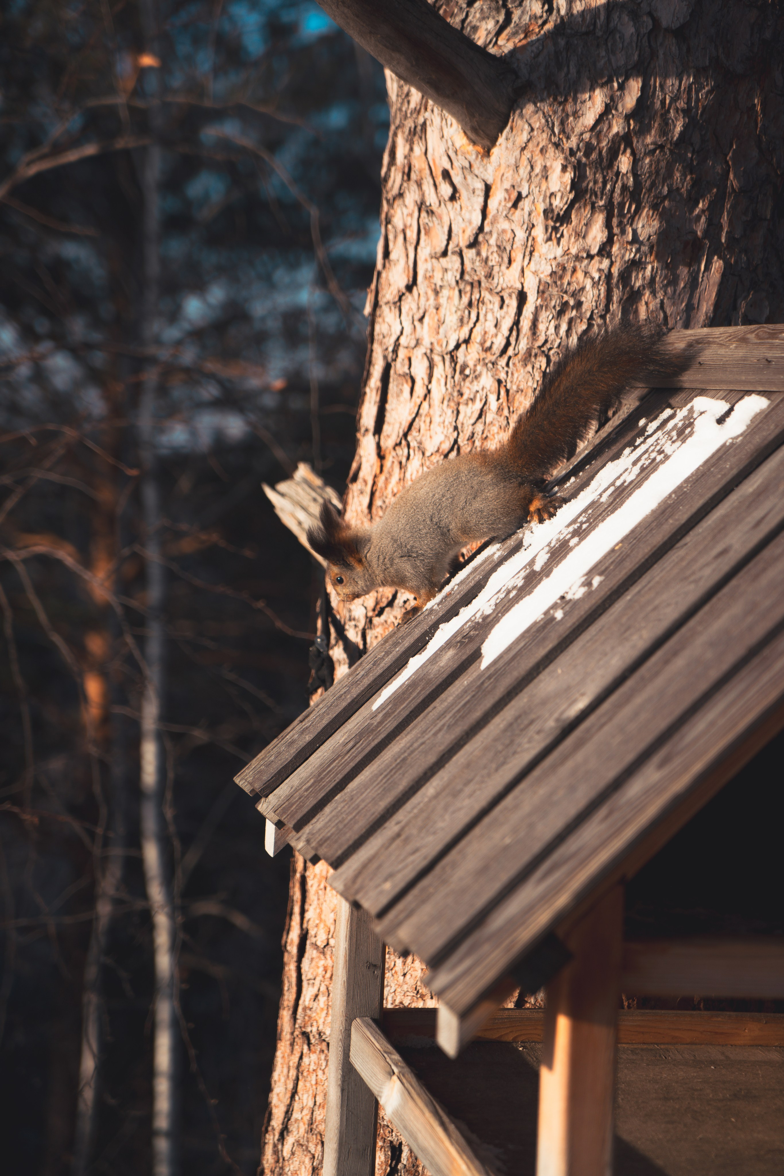 Красноярск и Дивногорск, Ноябрь 2023