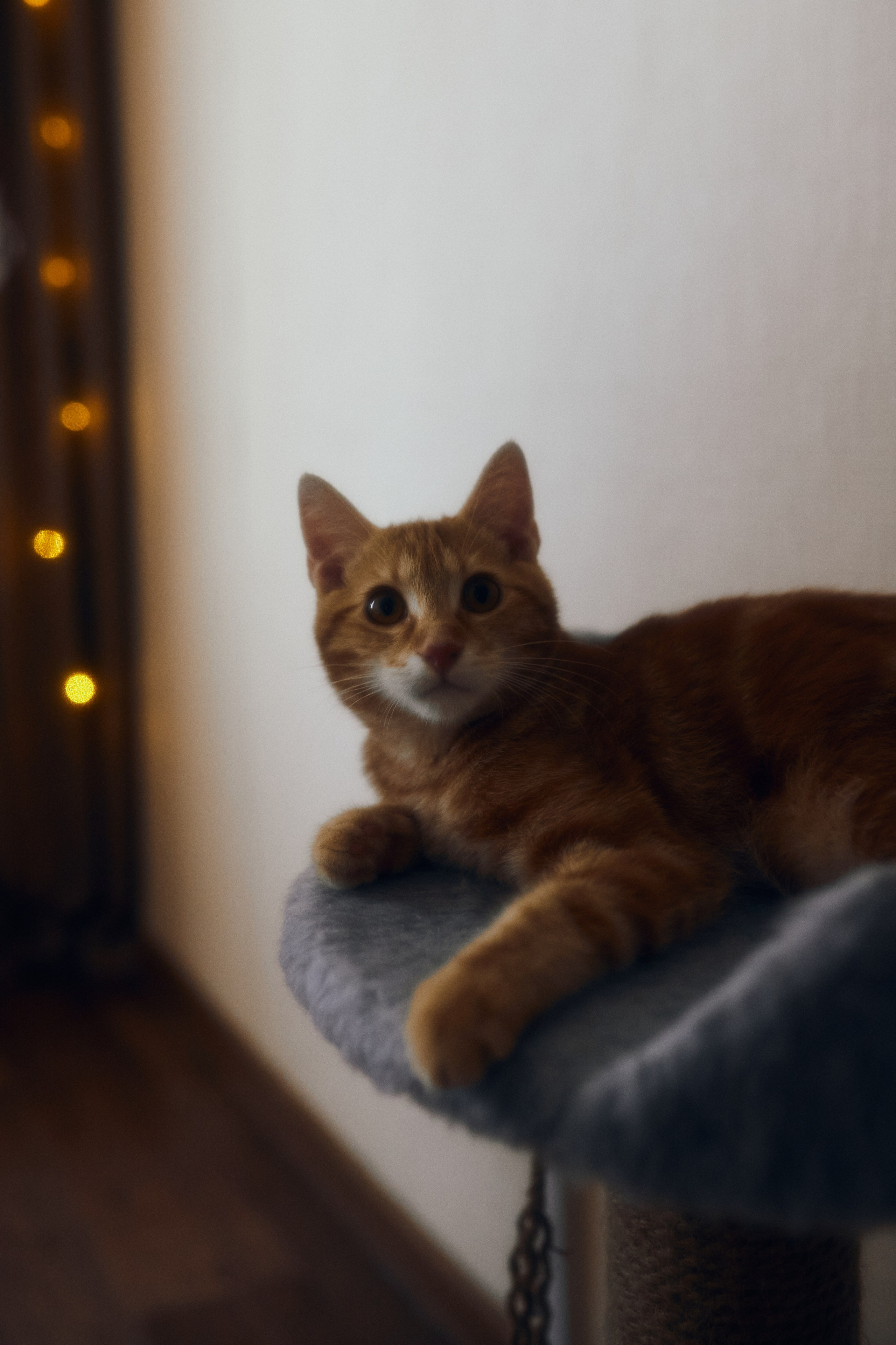 Домашний уют. Фотограф Ионова Анастасия, г Владивосток