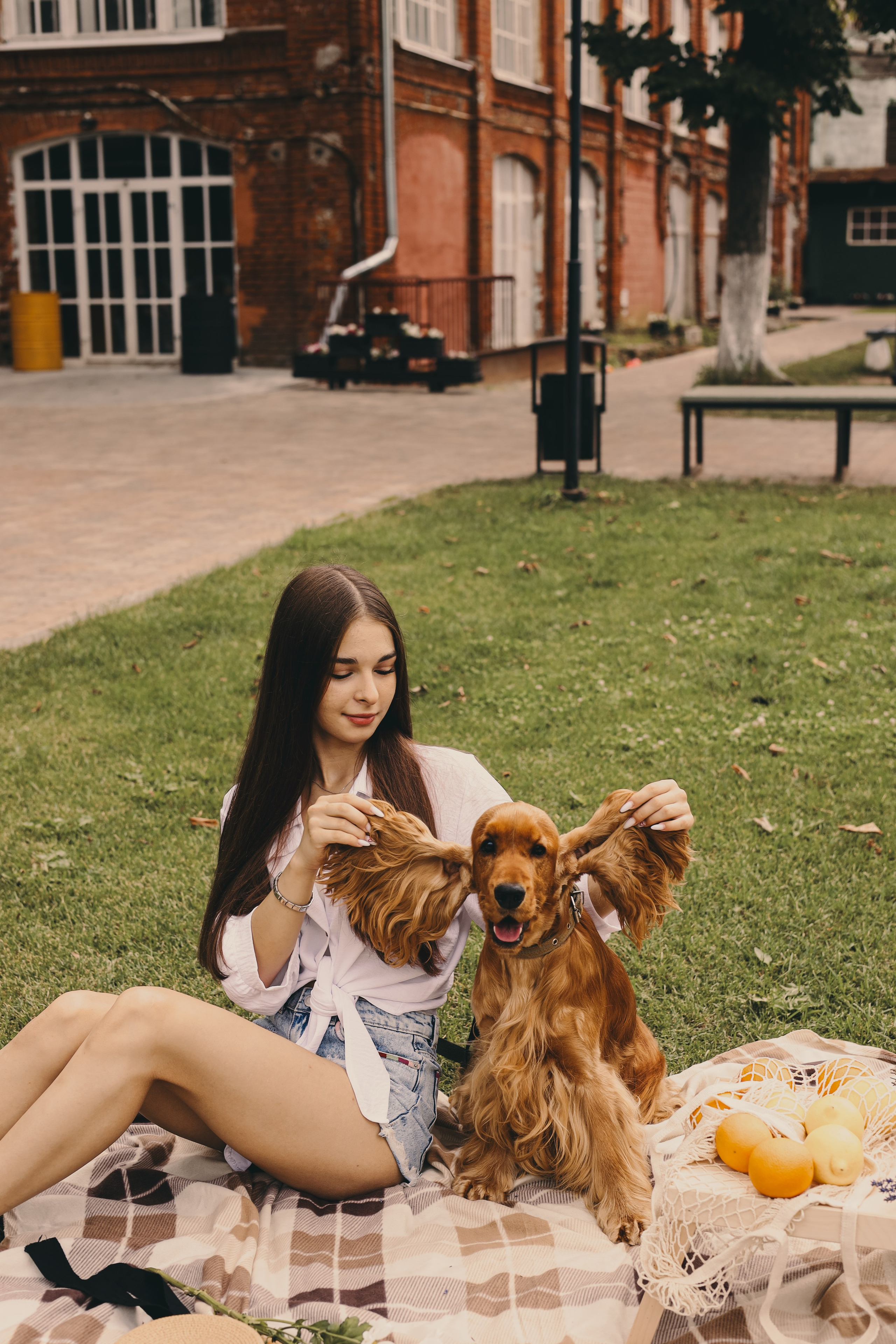 Фотопроект «Пикник со спаниелем». Фотограф Мария Лаенко