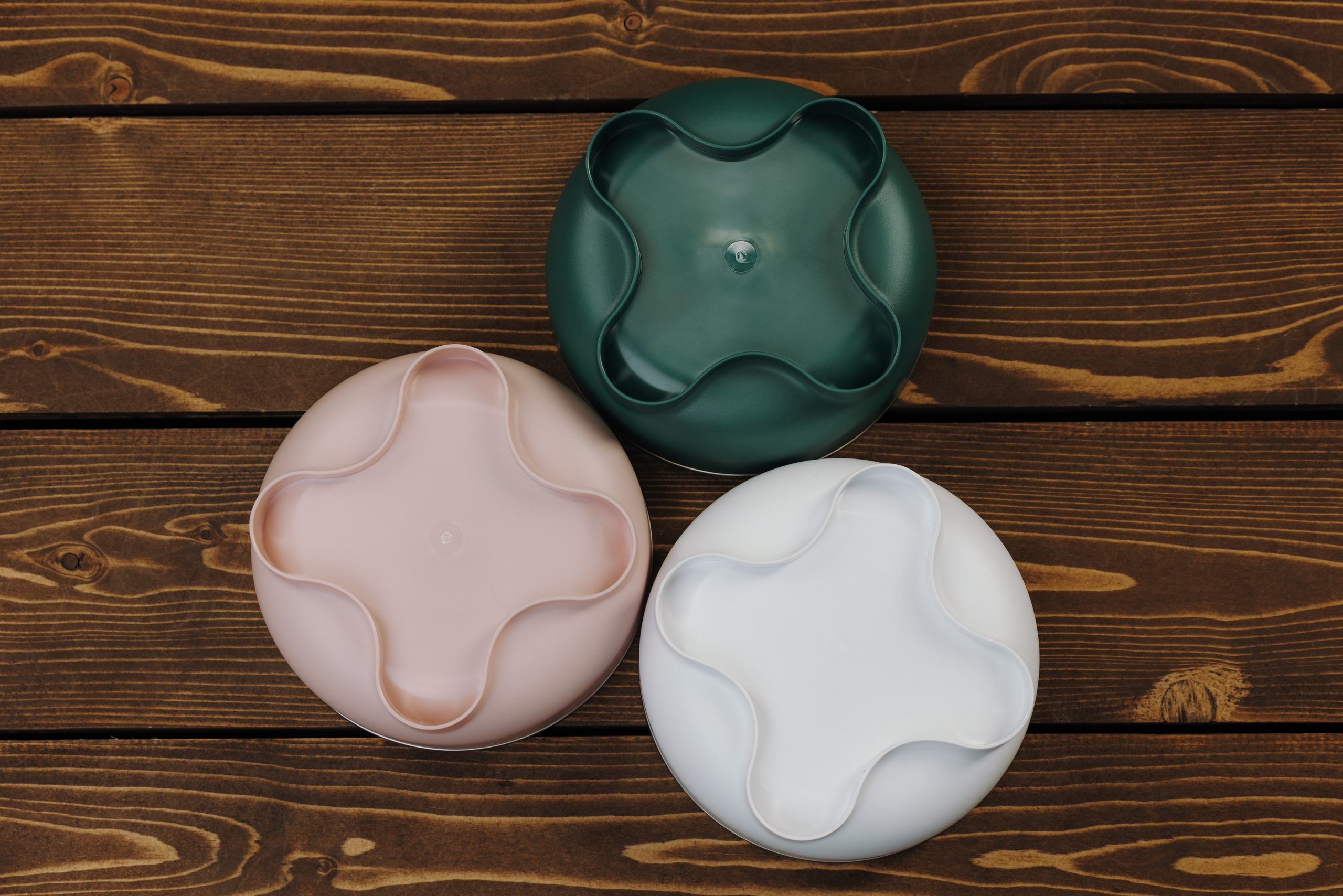 Миски. Фотограф анималист Осипчикова Мария