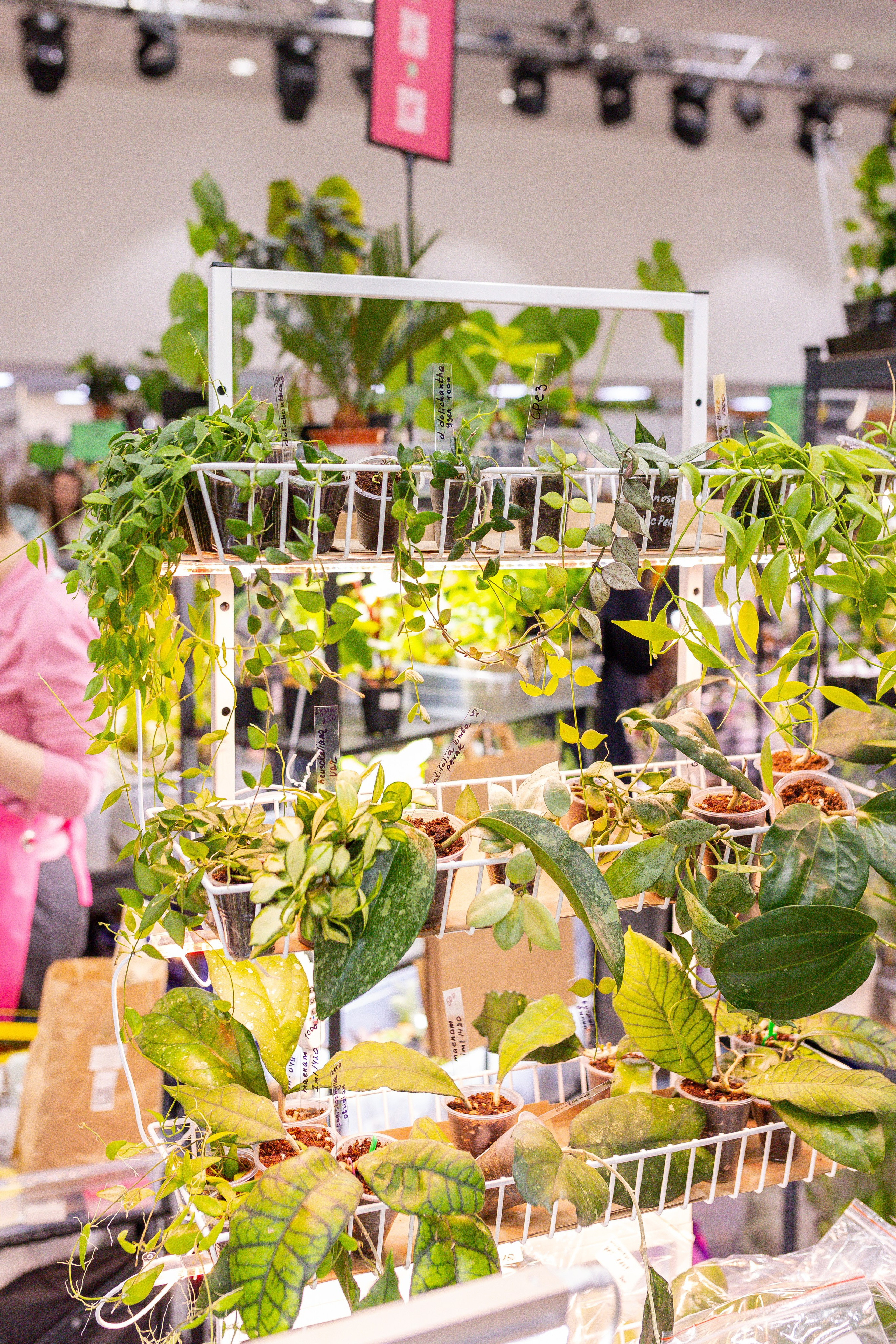 Монстериум 11–12 октября. Александра Куликова фотограф, Москва