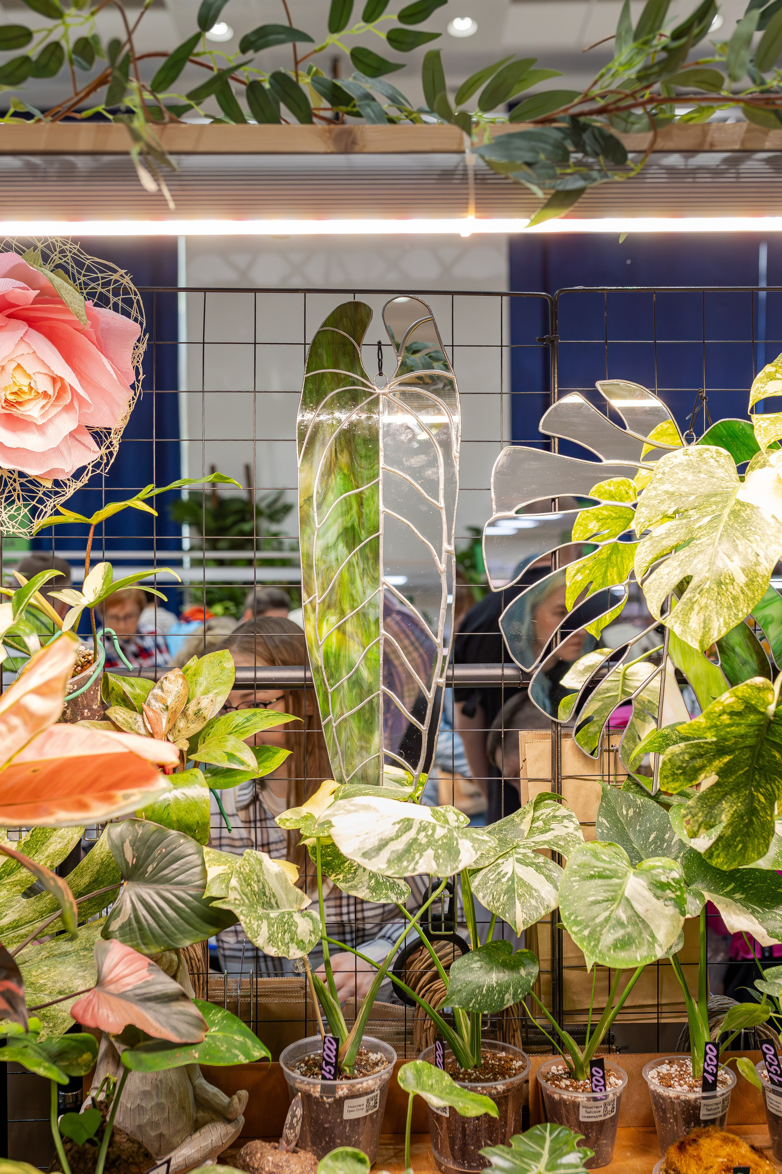 Монстериум апрель 2026. Александра Куликова фотограф, Москва