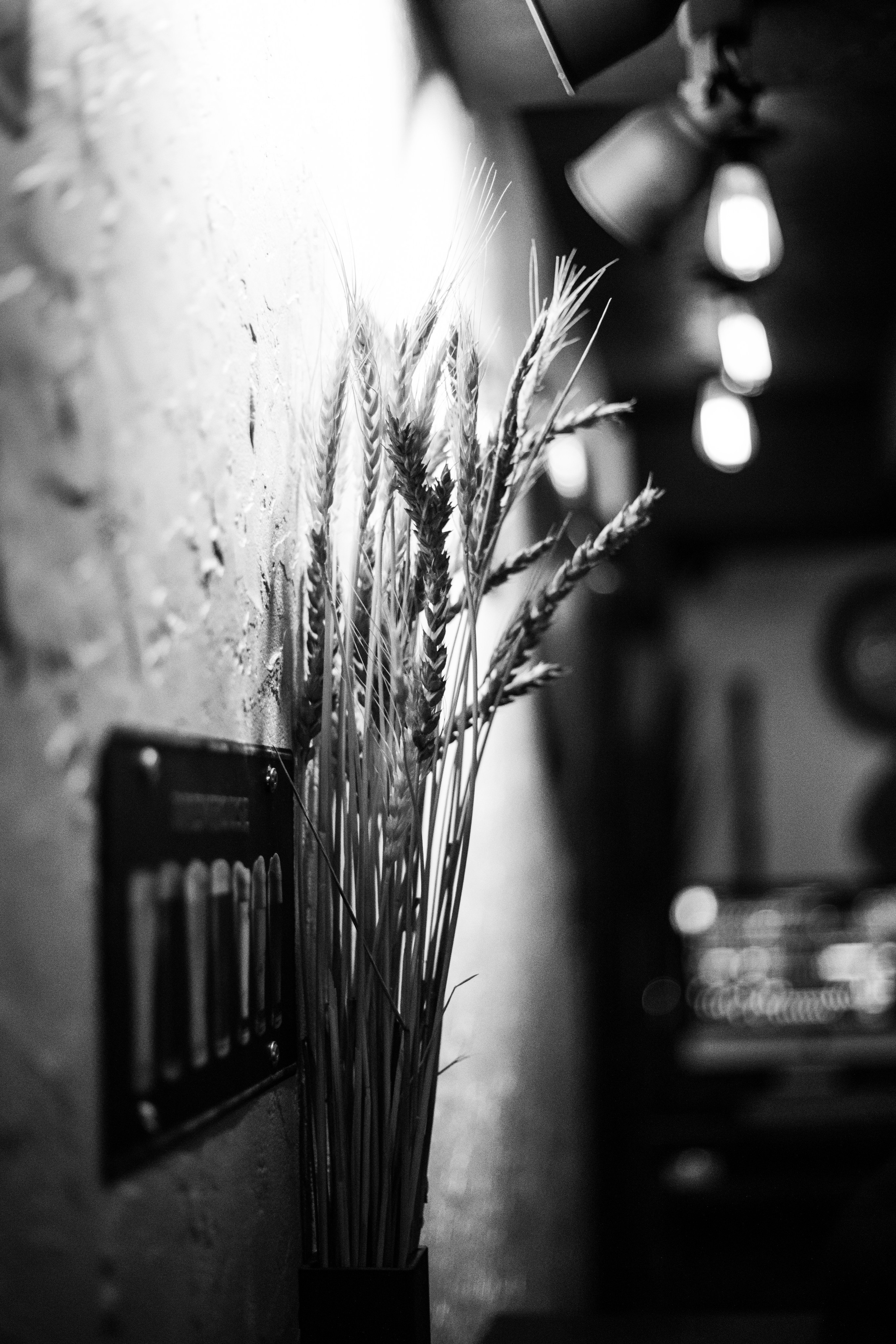 Pils Live Bar — Владимир Демьянов (17.11.2023). Фотограф Вадим Семак