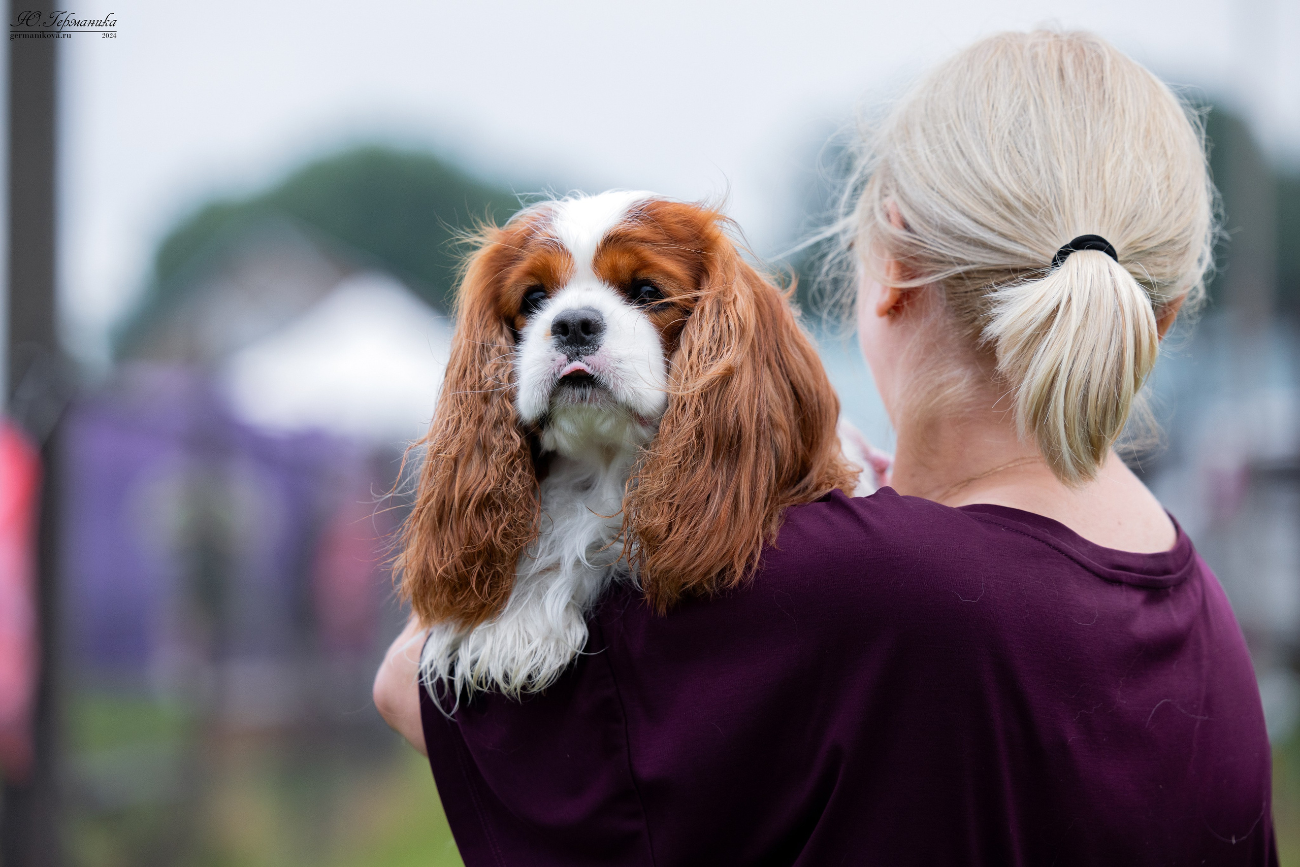 Ярославль 21.07.24 и Балашиха 13.07.24. Фотограф-анималист Юлия Германика