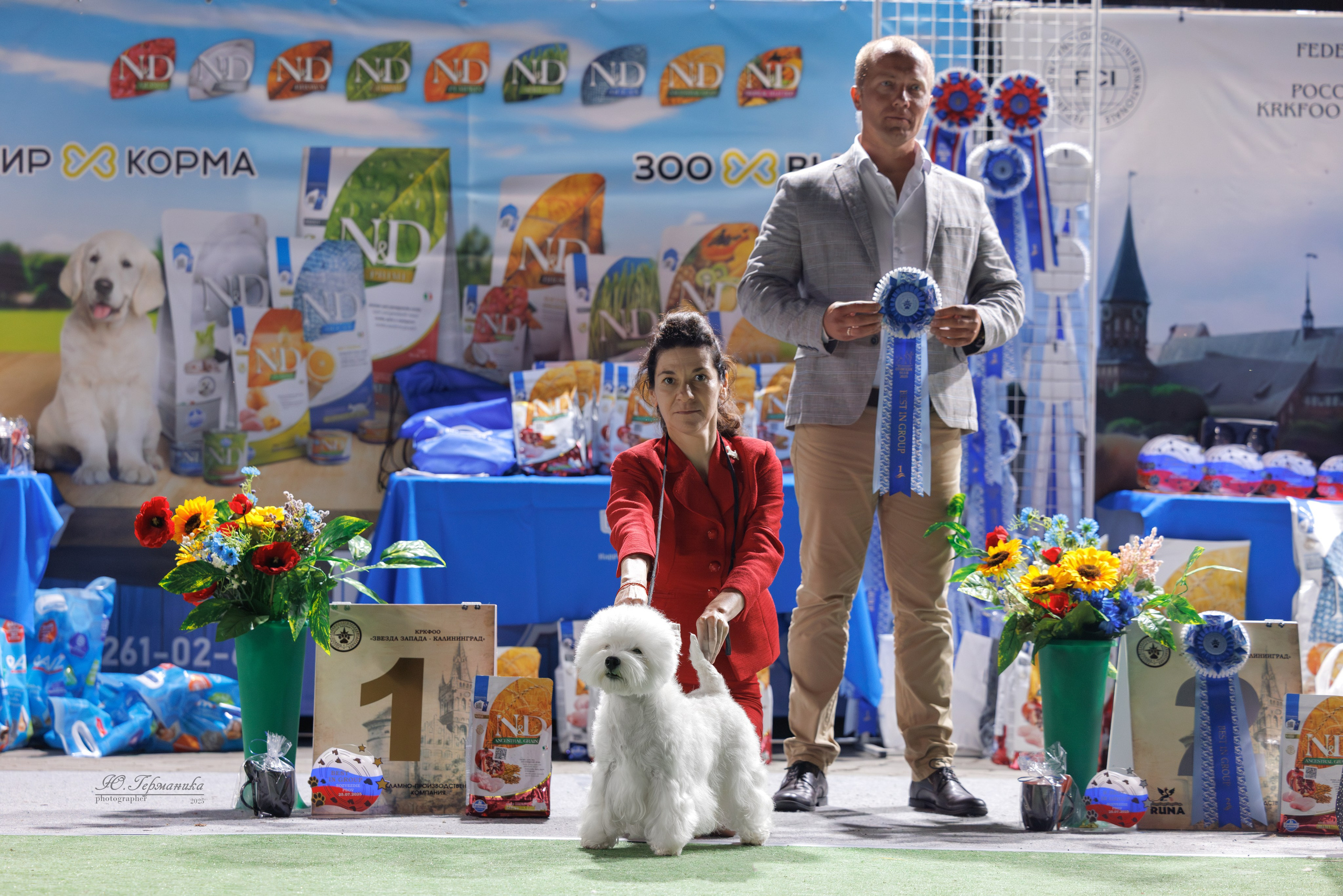 Калининград 25-27.07 Волгоград 1-3.08 2025. Фотограф-анималист Юлия Германика