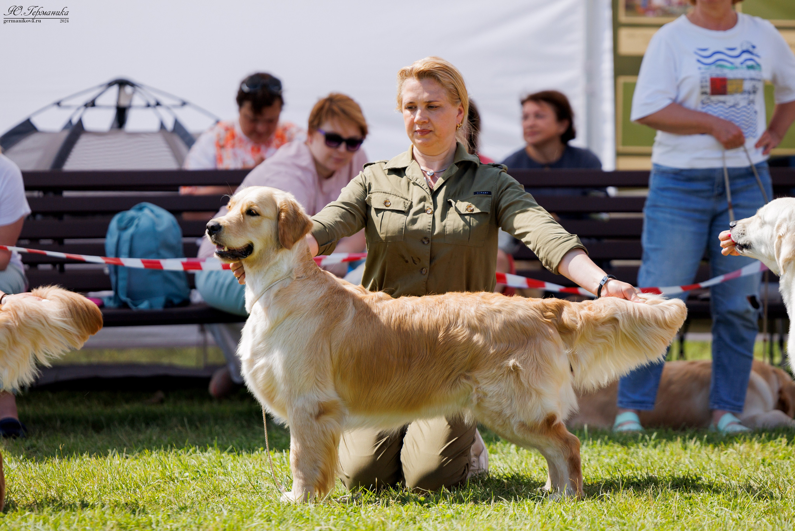 Голдены 15-16.06.2024. Фотограф-анималист Юлия Германика