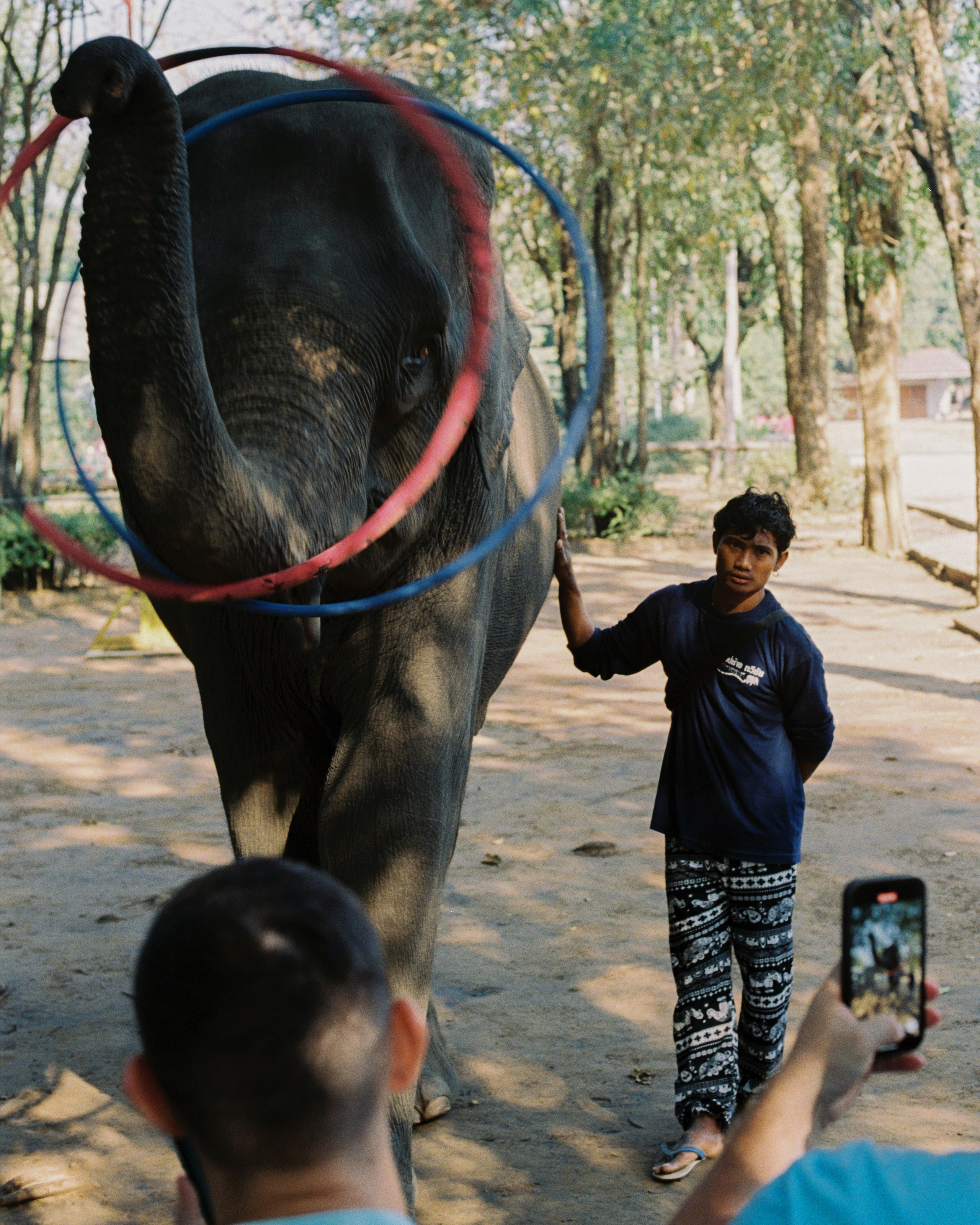 Thailand. Kirill Shashkov