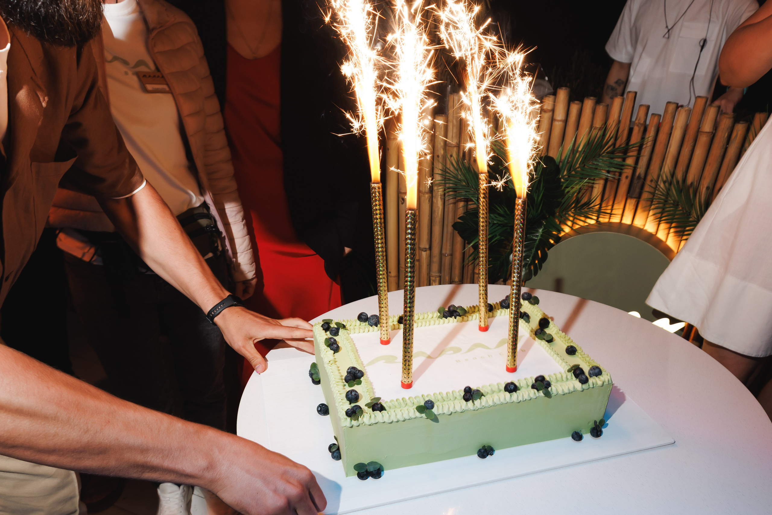 31.05.2025 TROPICAL DISCO BIRTHDAY PARTY. ProVizArt