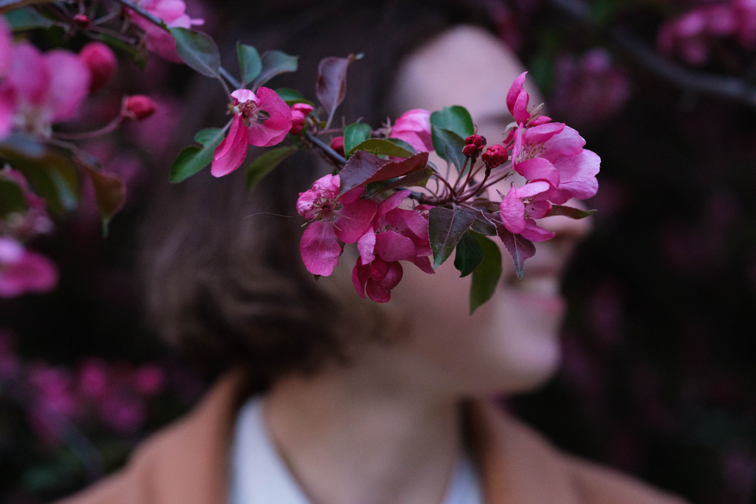 Александра в цветах. Фотограф Диана Иремадзе