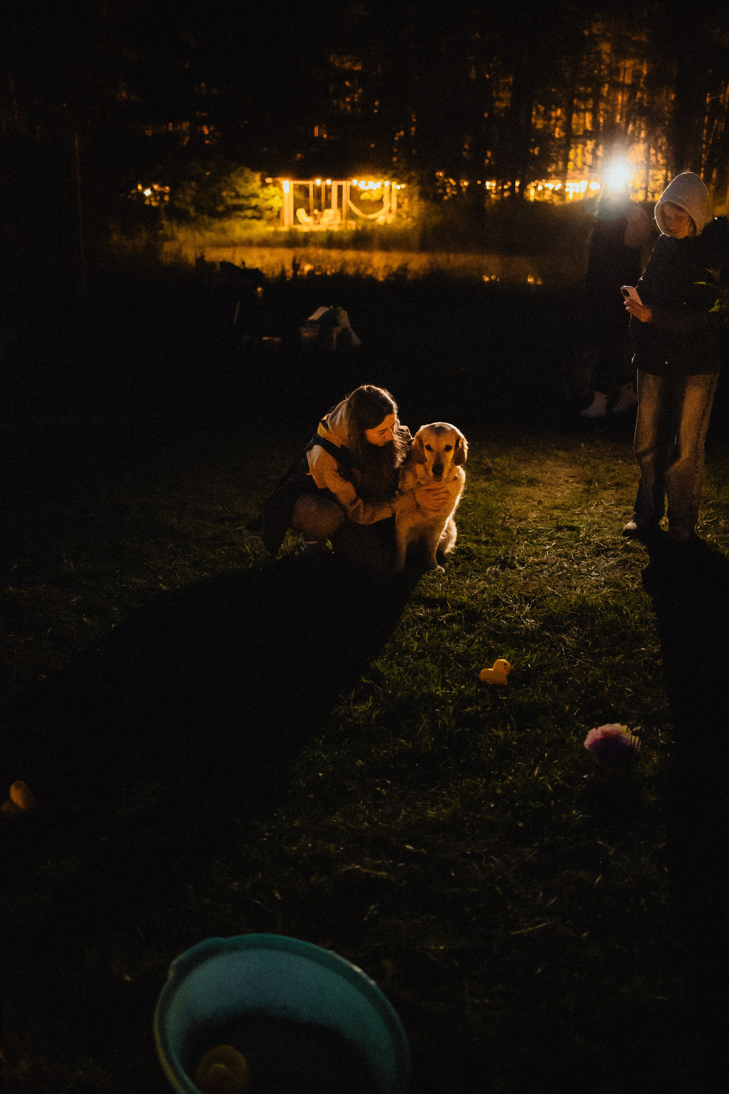 Выездной дог-тренинг от школы «Шерсть имею»