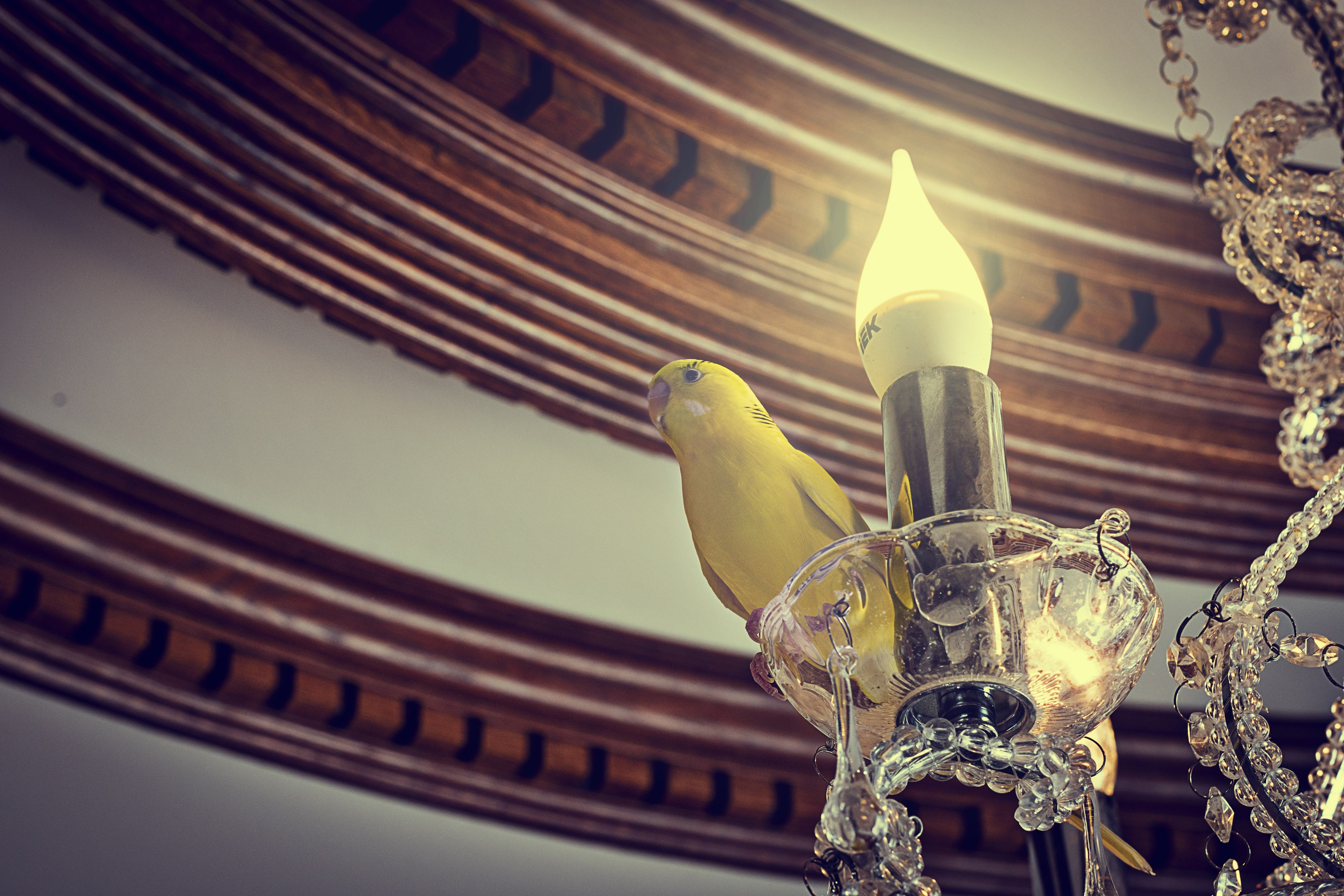 Семейная фотография. Арт студия «Пегас». Фото- и видео- съемка