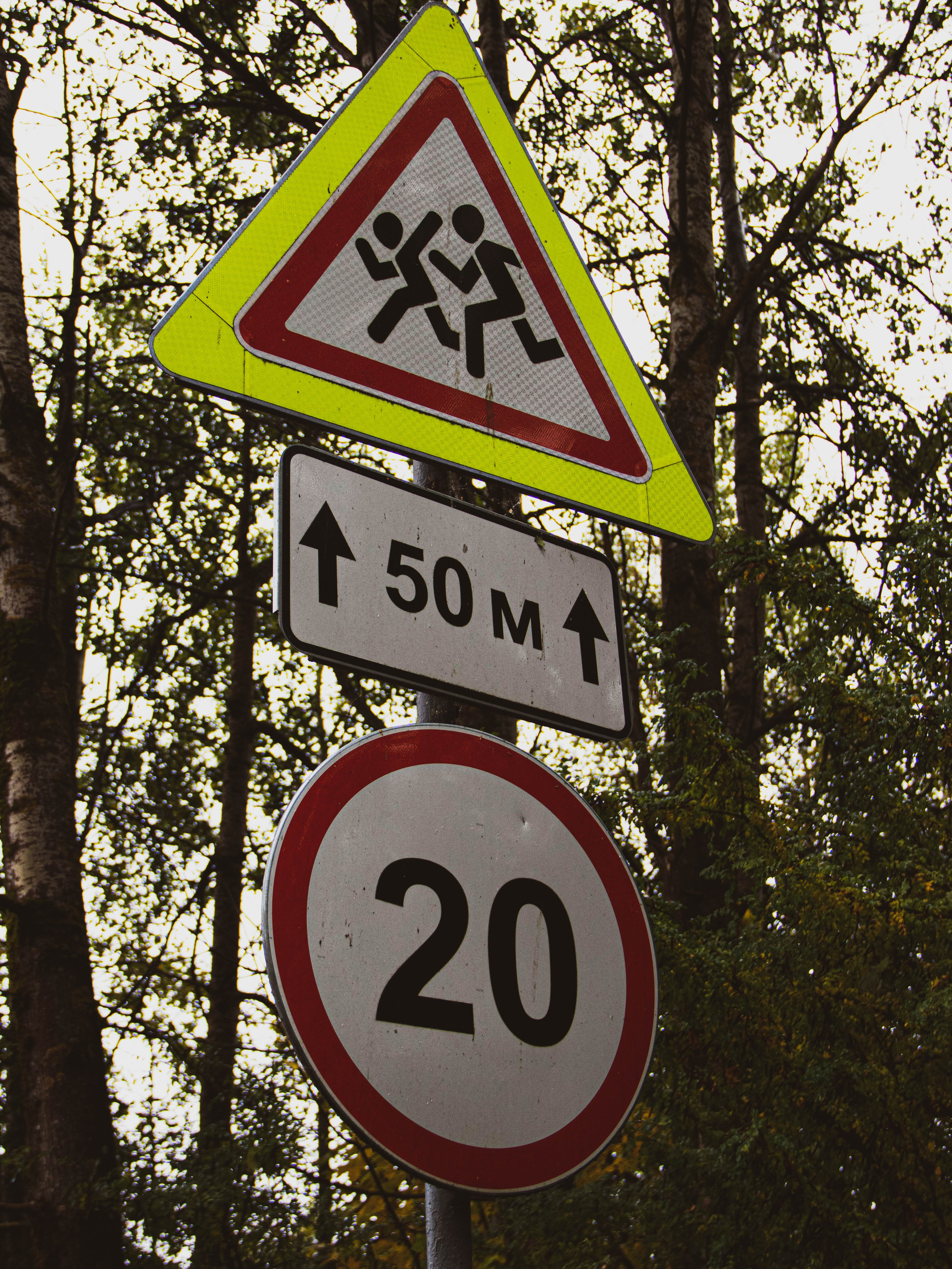 Село Петрилово (28.09.24). «Матрица»